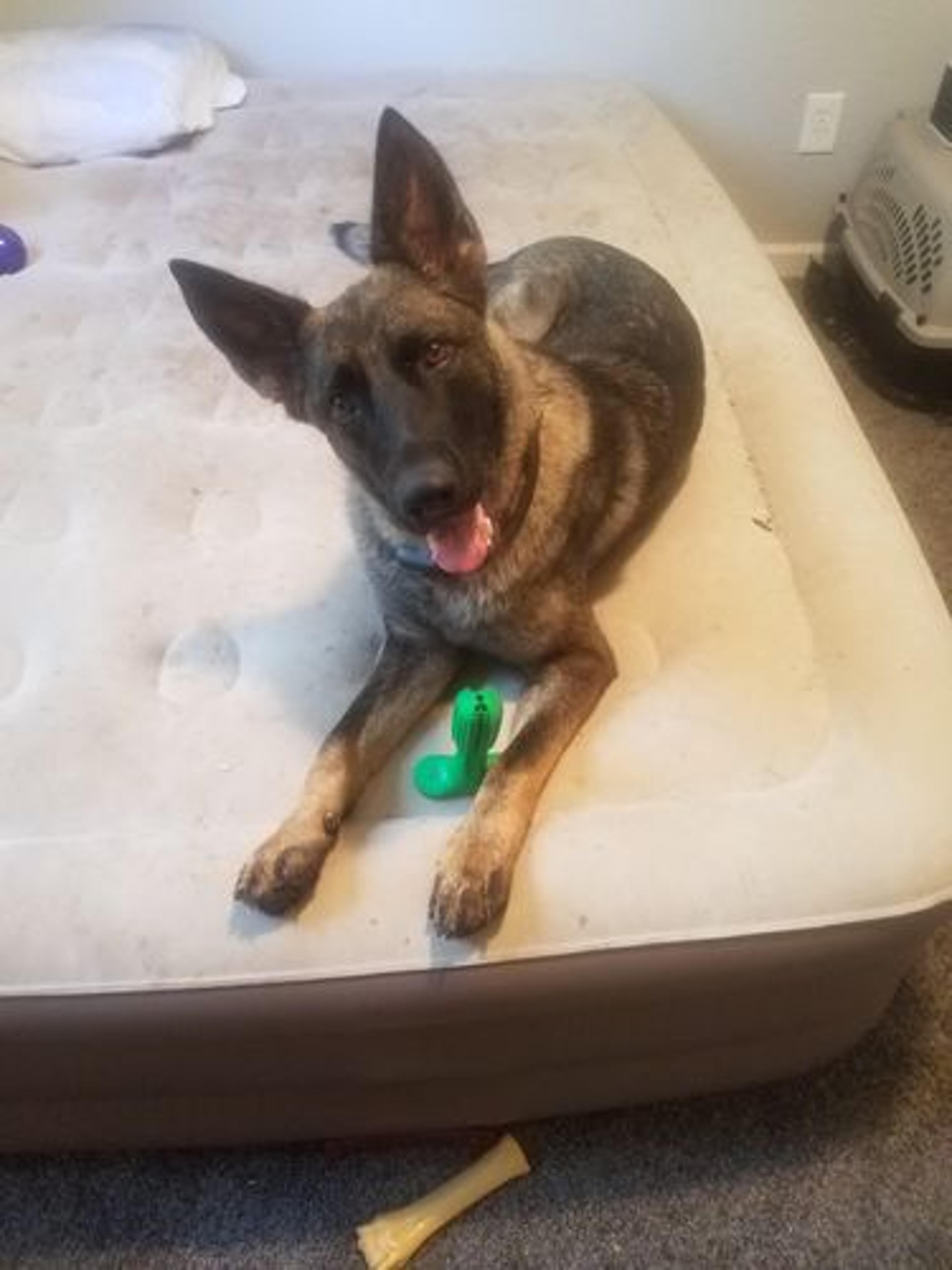 Customer Review Photo
