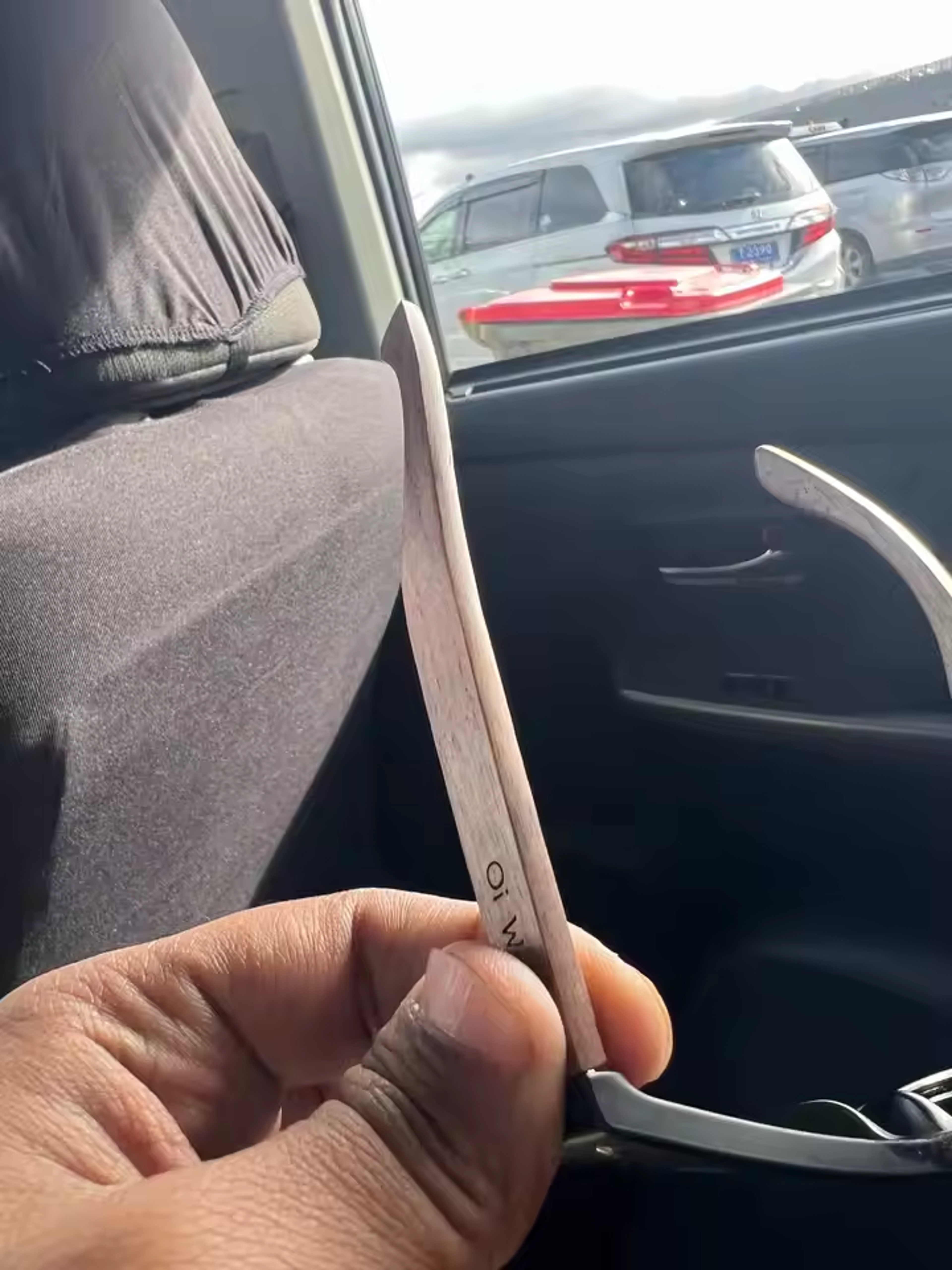 Customer Review Photo