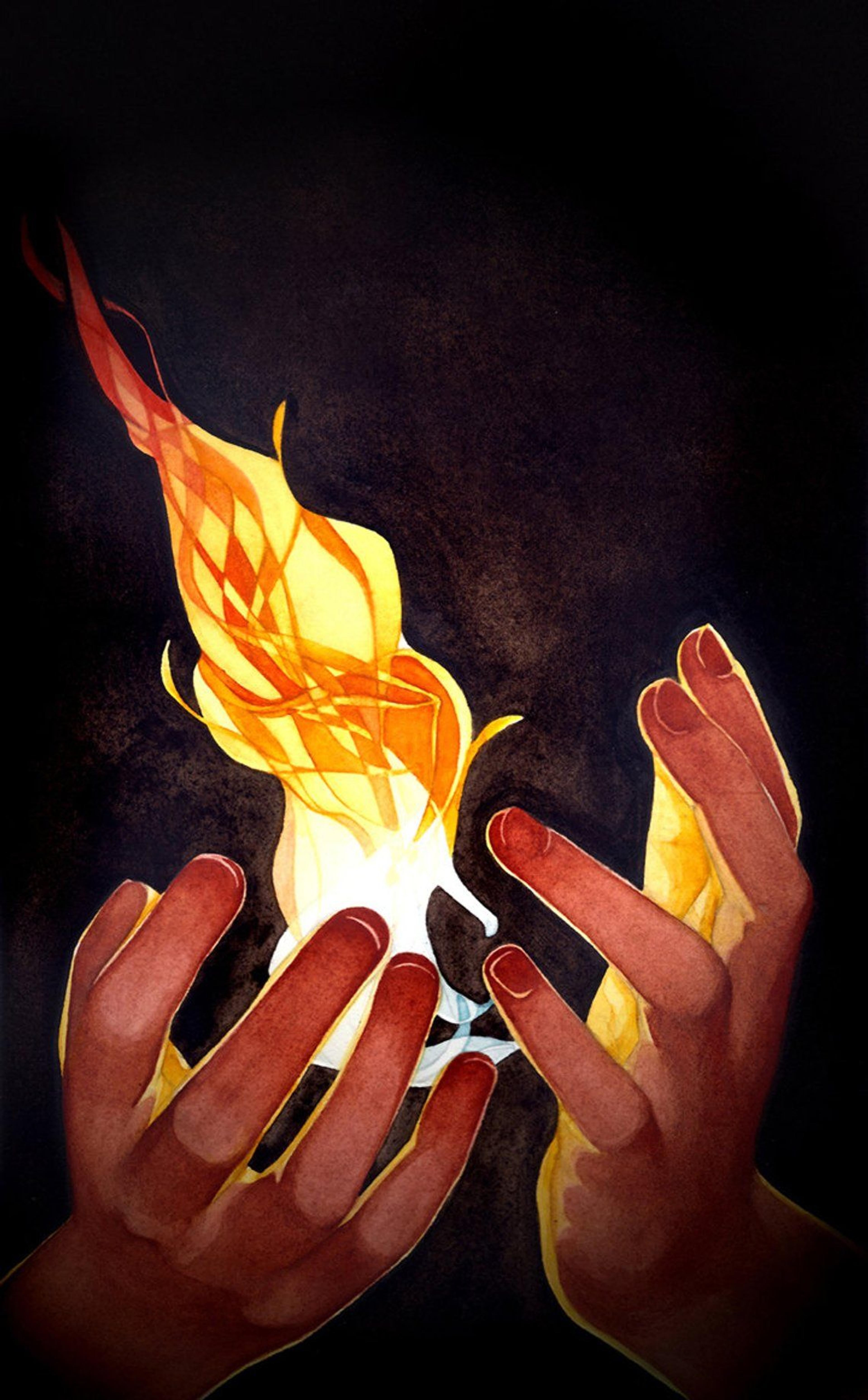 Shop cover image