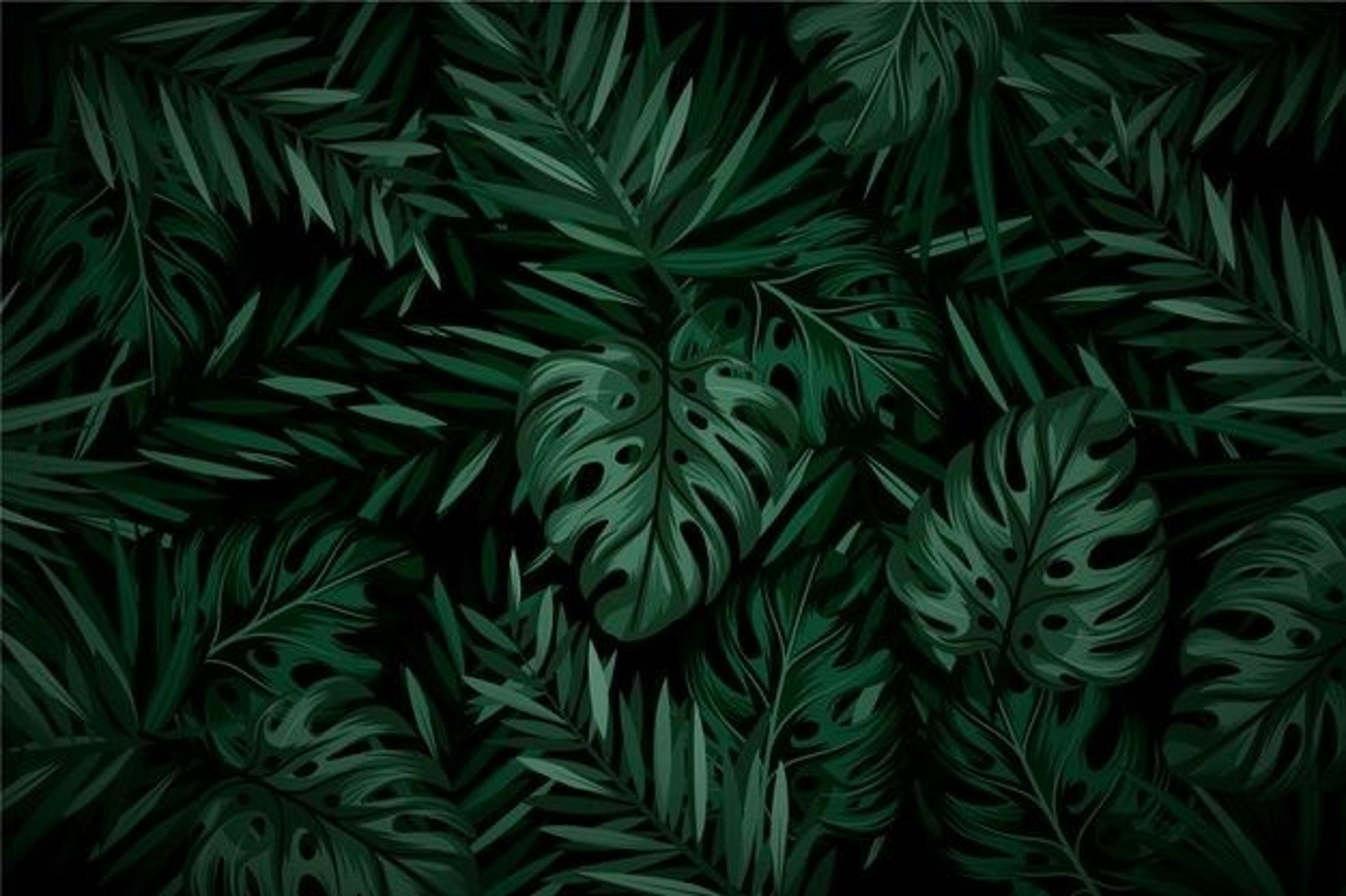 Shop cover image