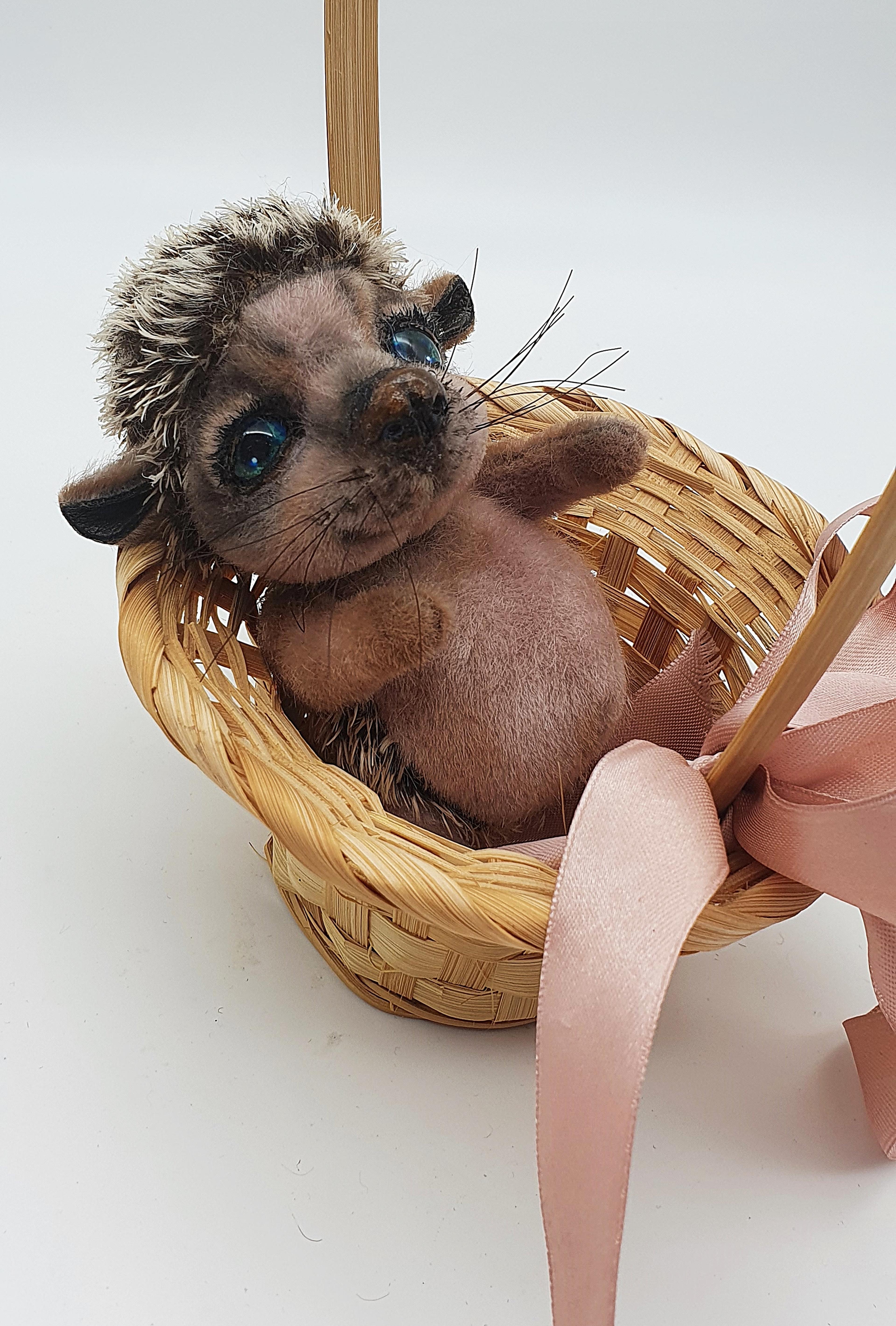 Shop cover image