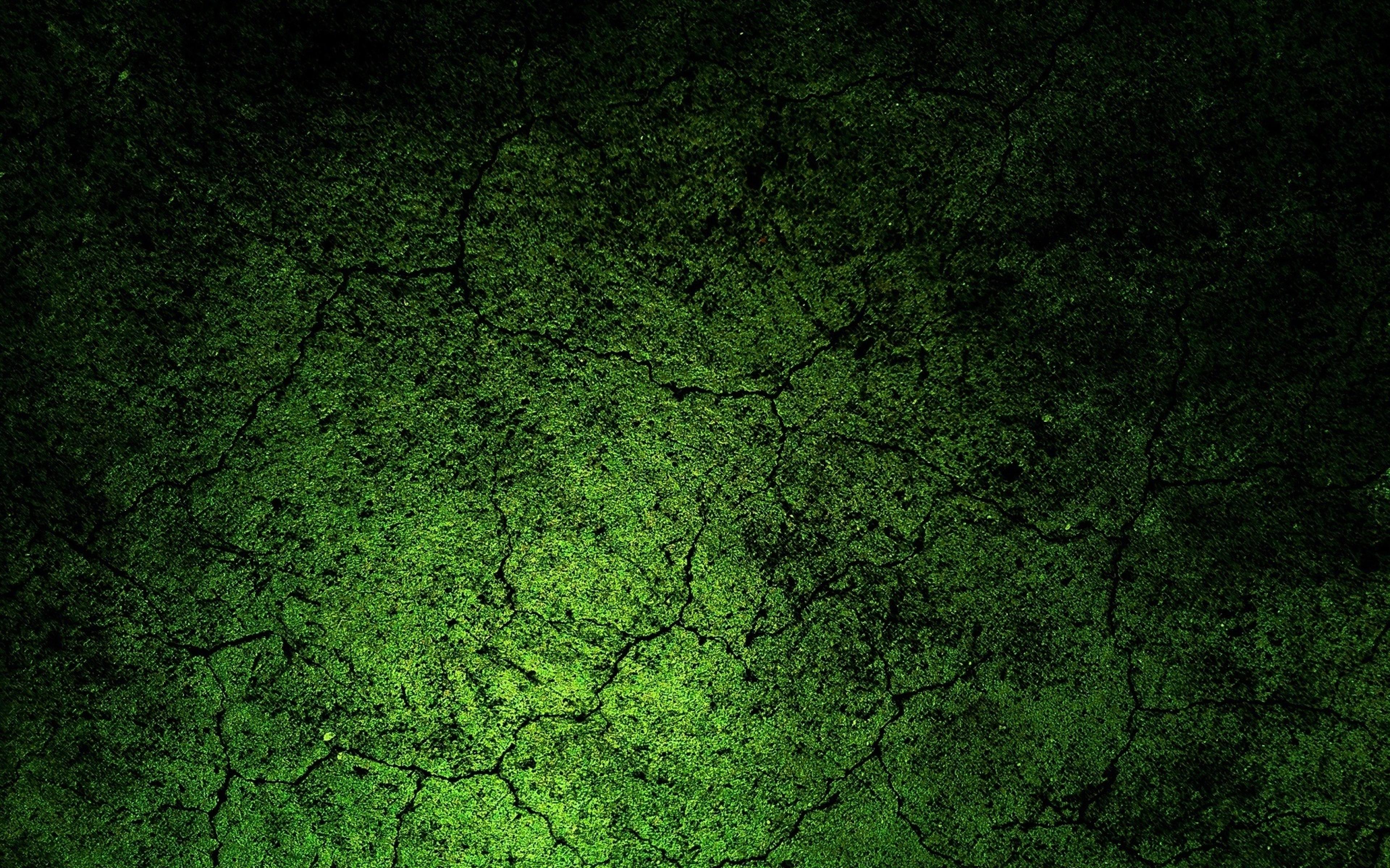 Shop cover image