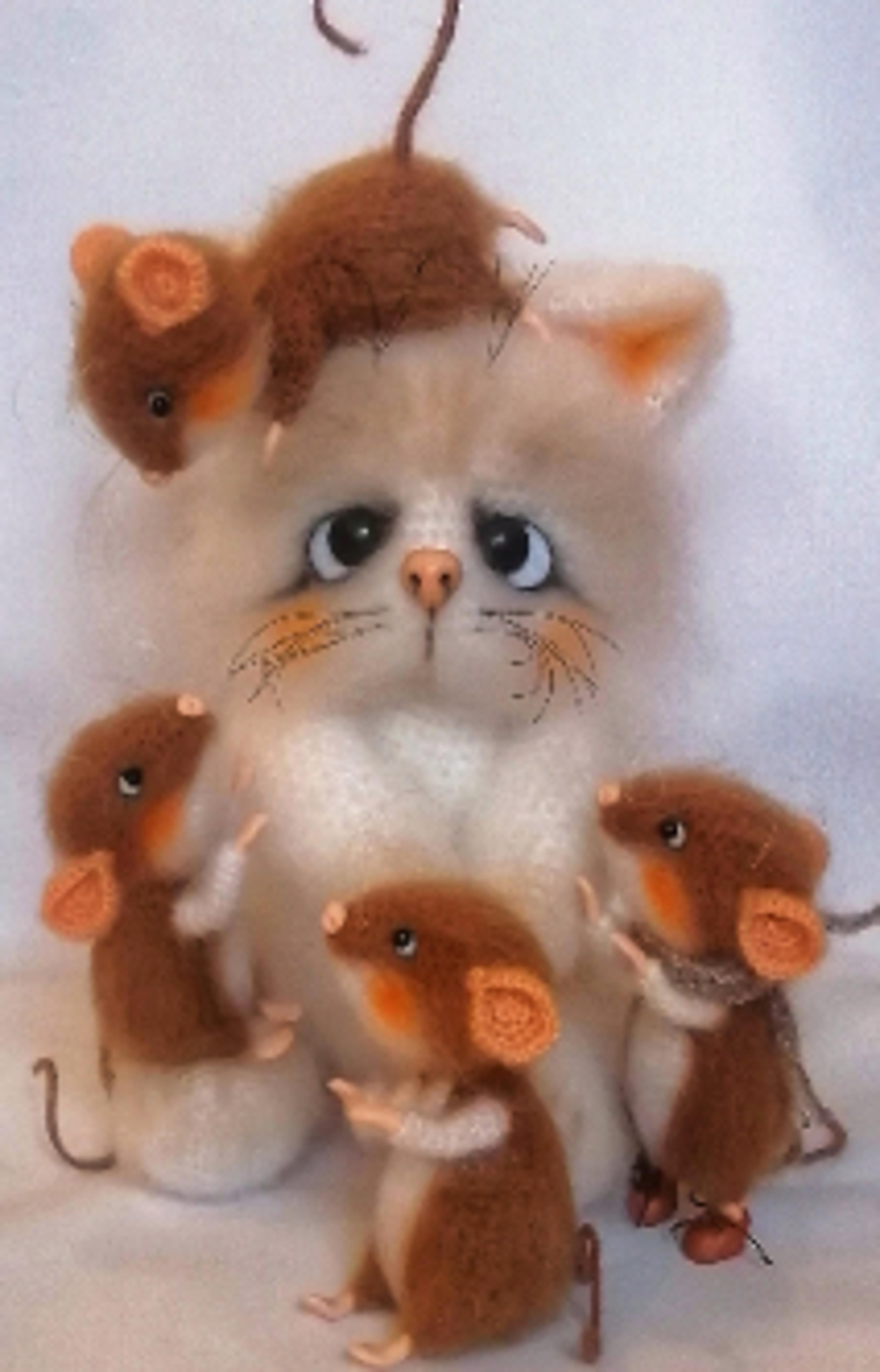 Shop cover image