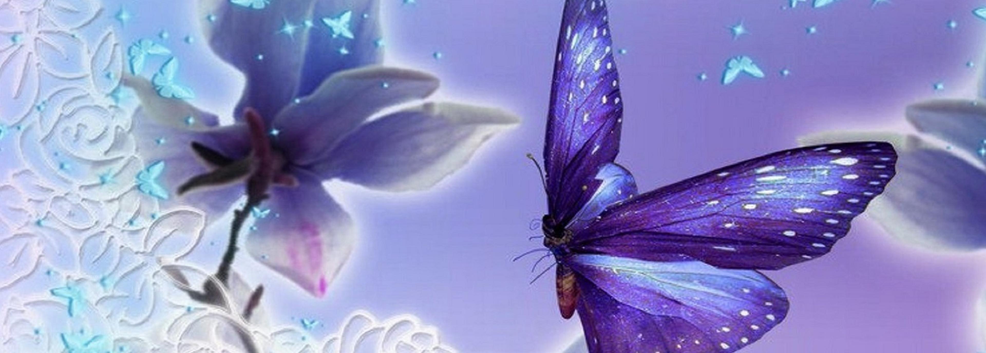 Shop cover image