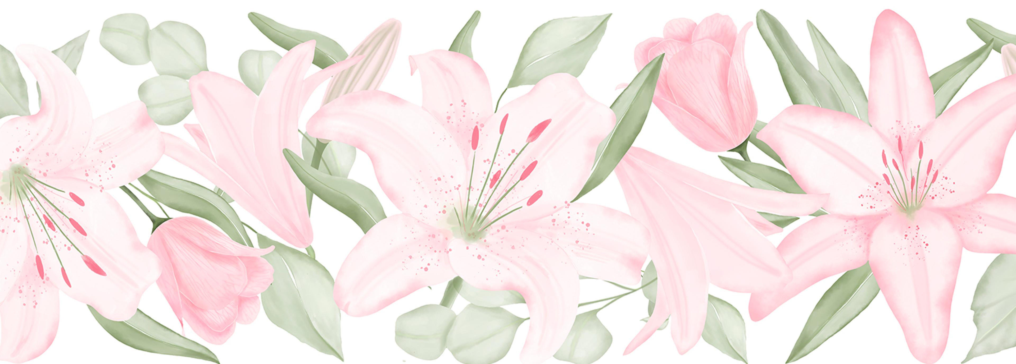 Shop cover image