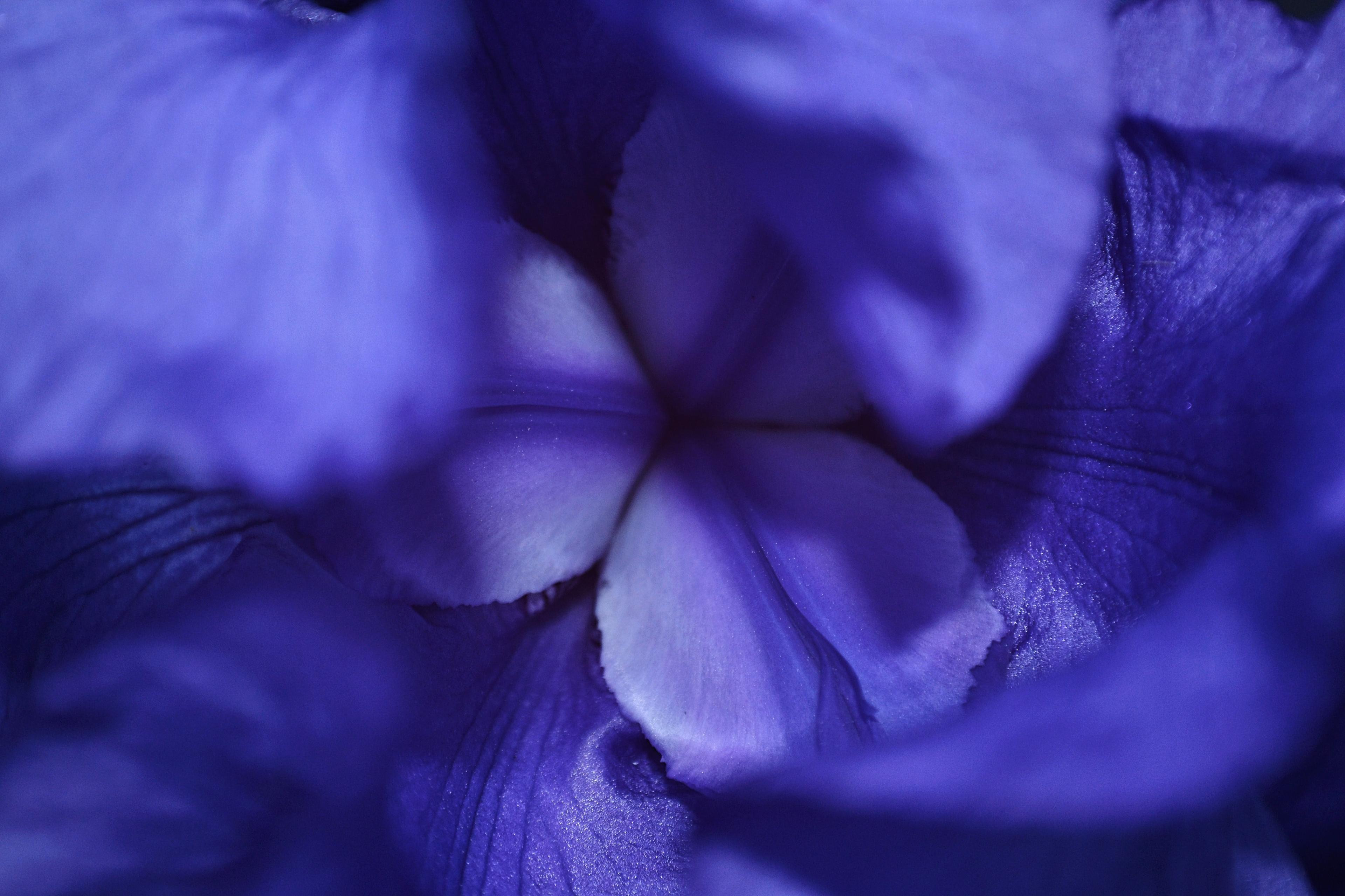 Shop cover image