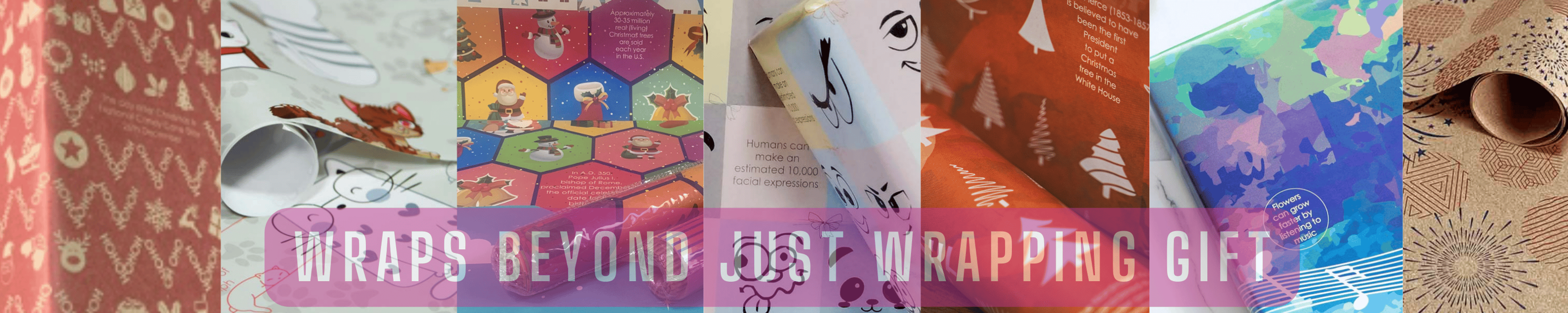 Shop cover image