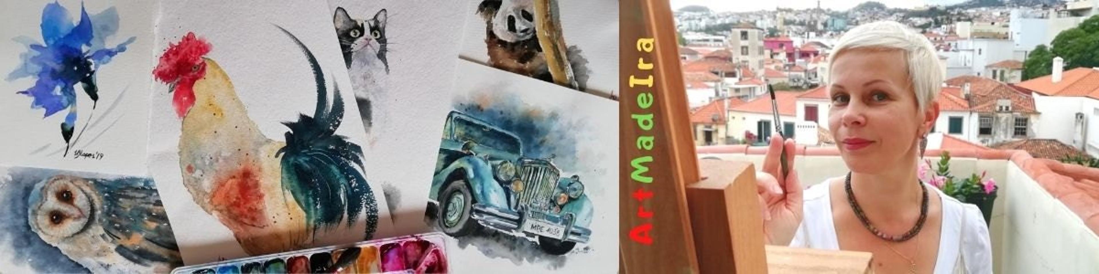 Shop cover image