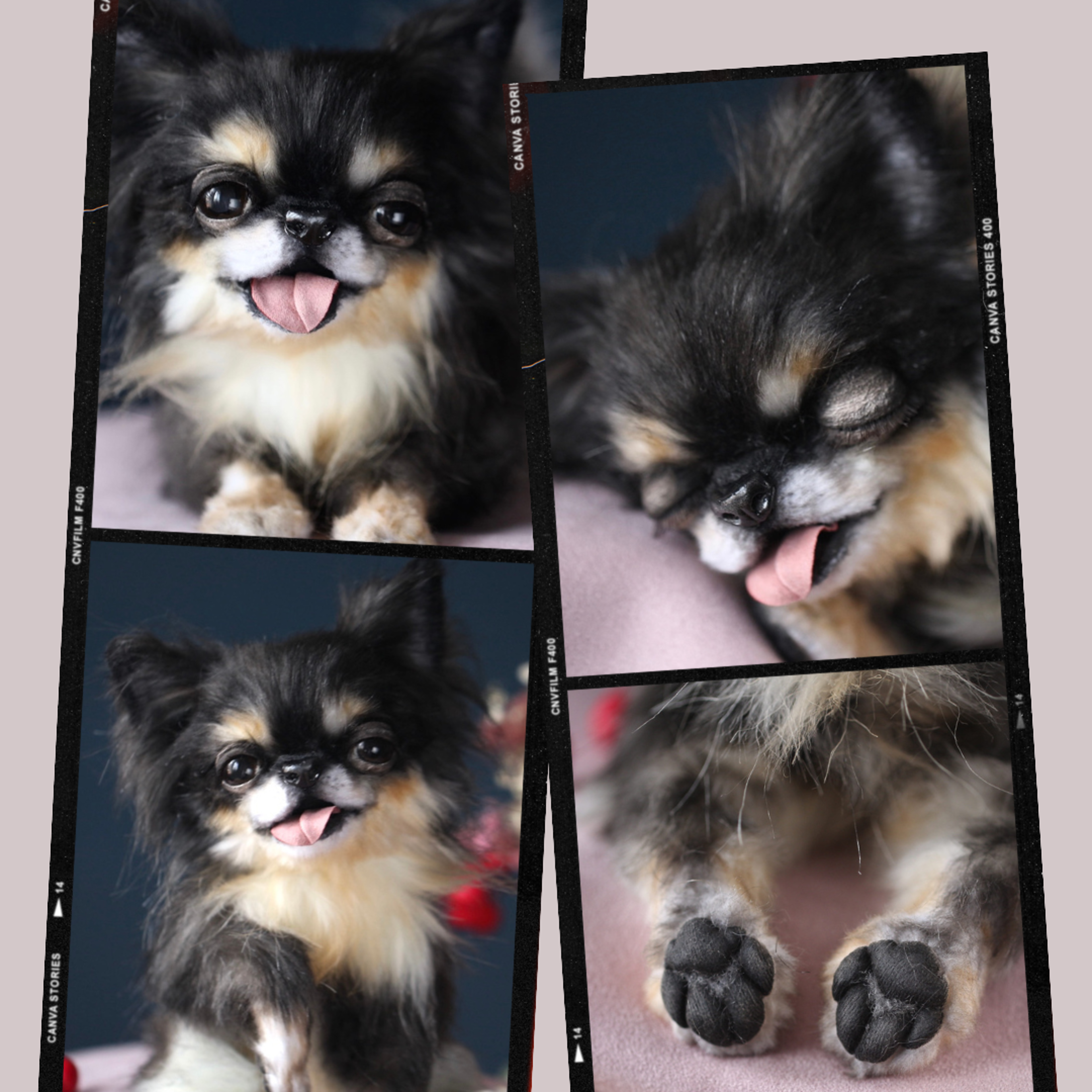 Shop cover image