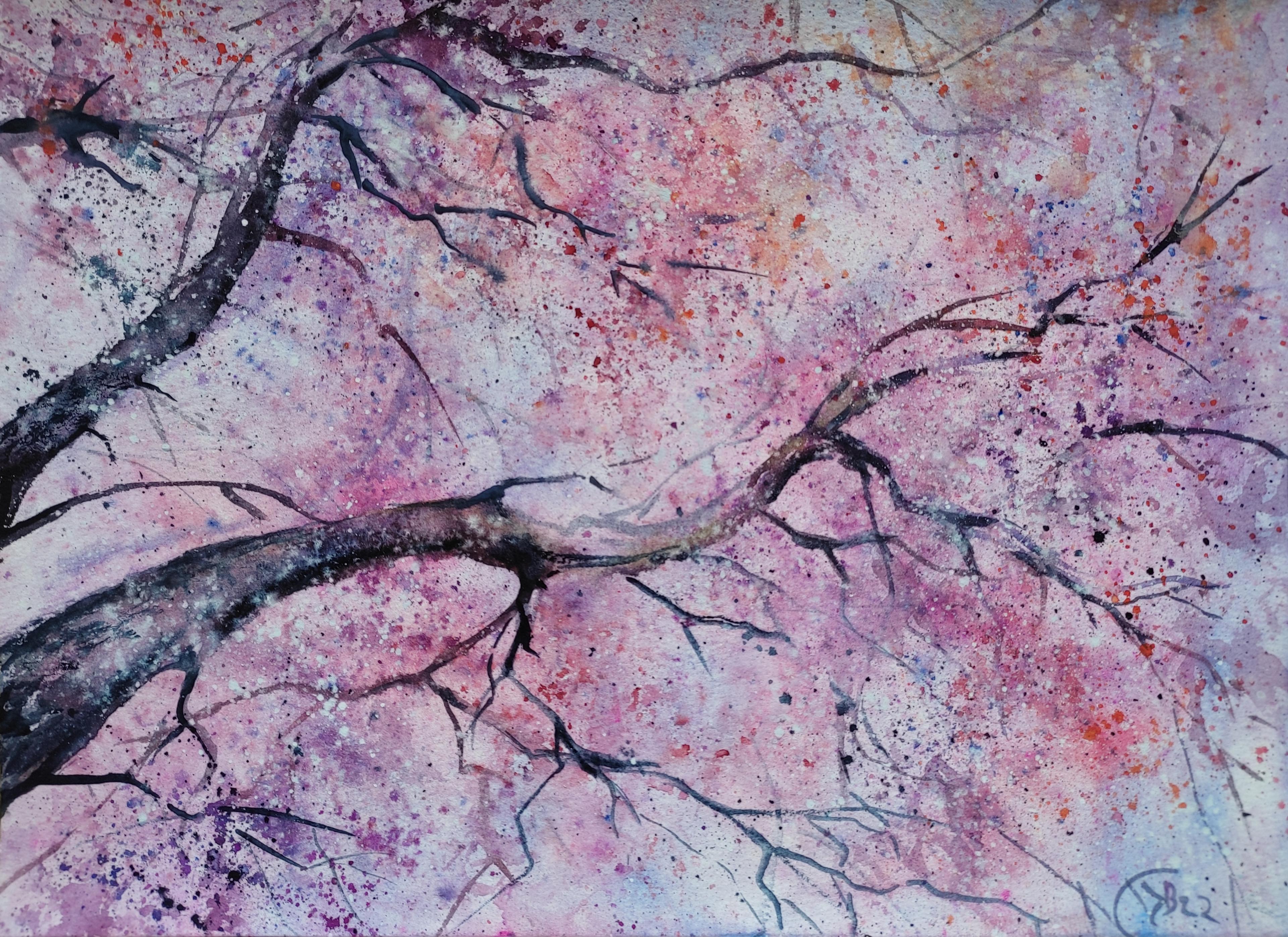 Shop cover image