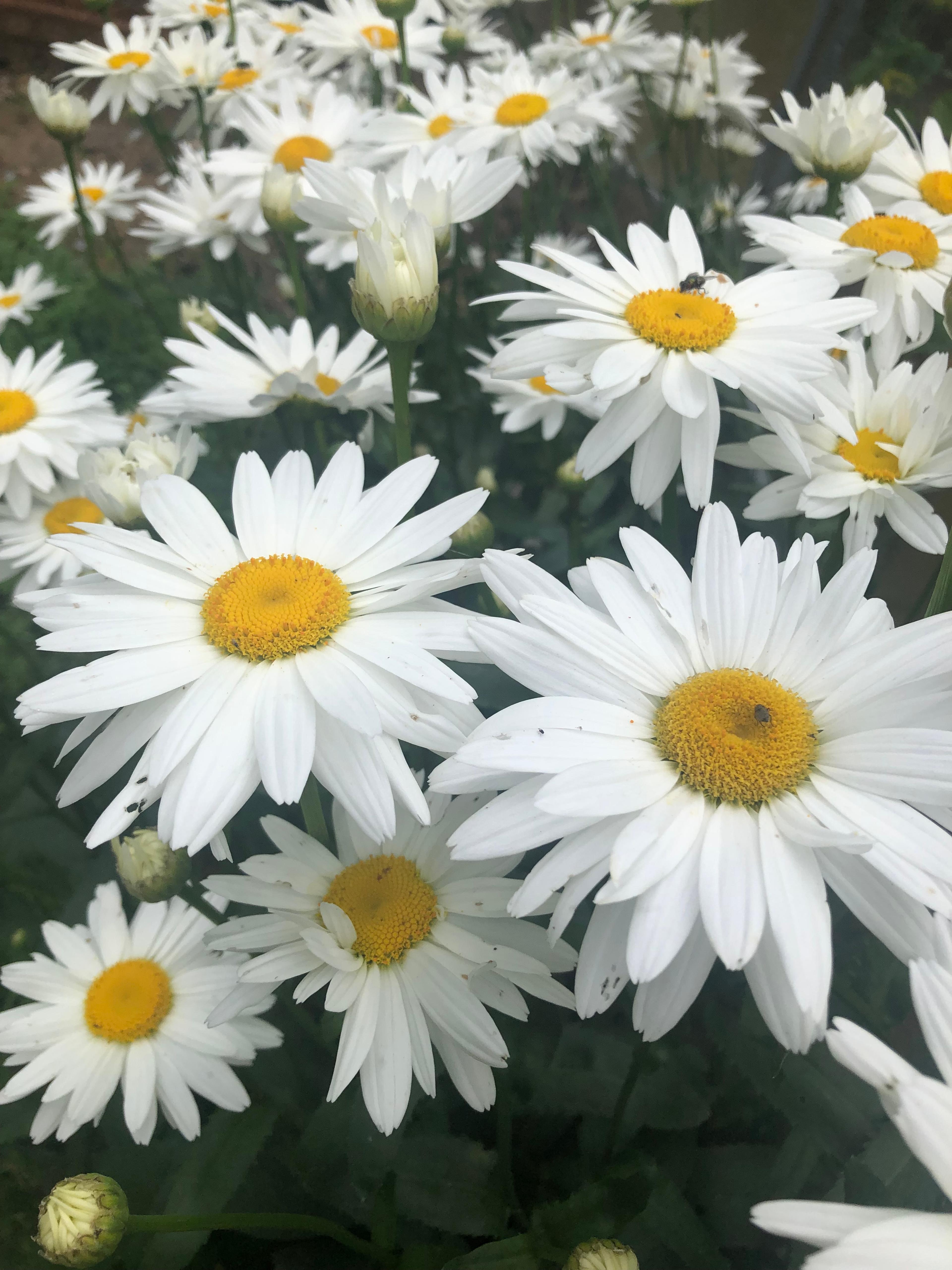 Shop cover image