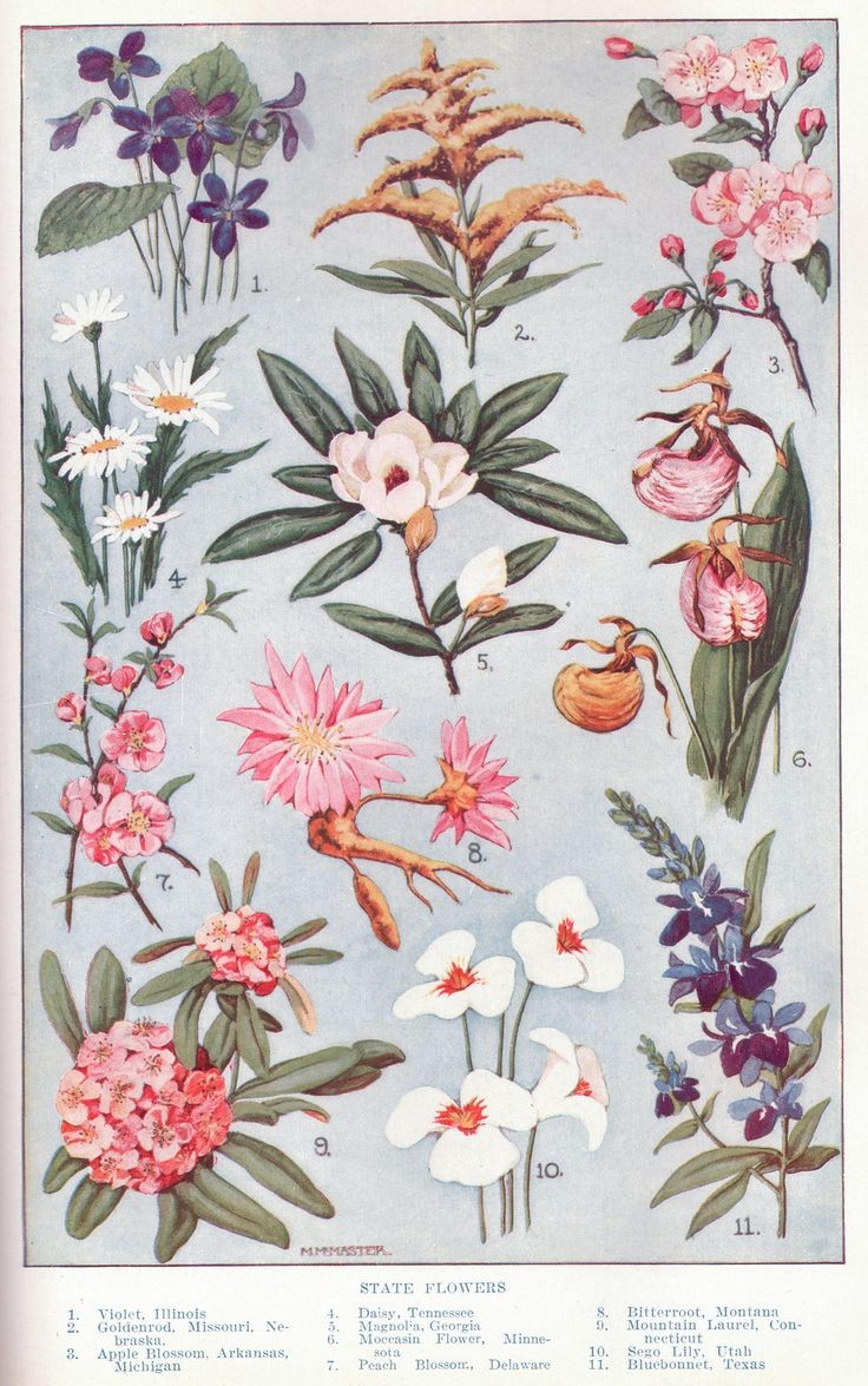 Shop cover image