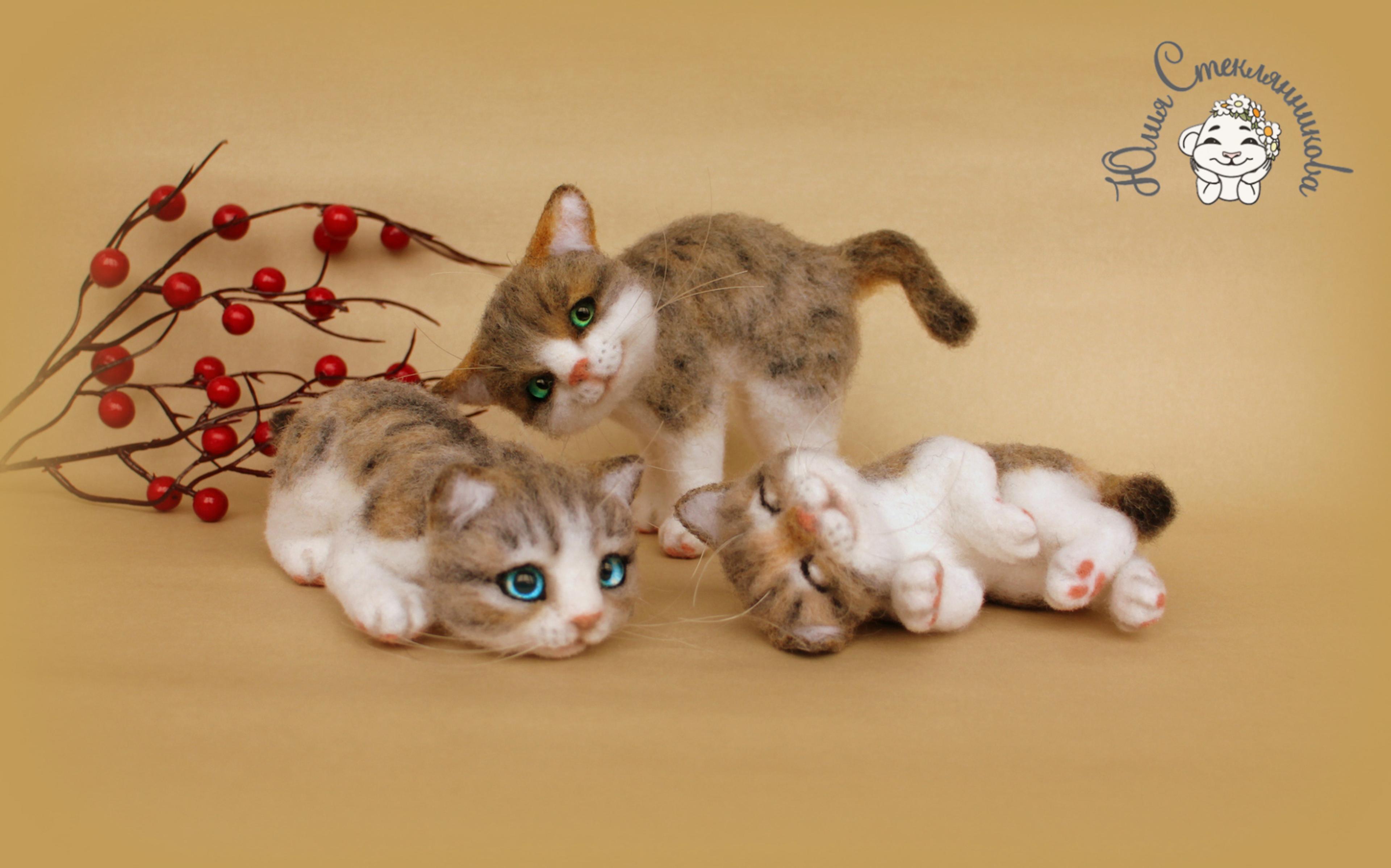 Shop cover image