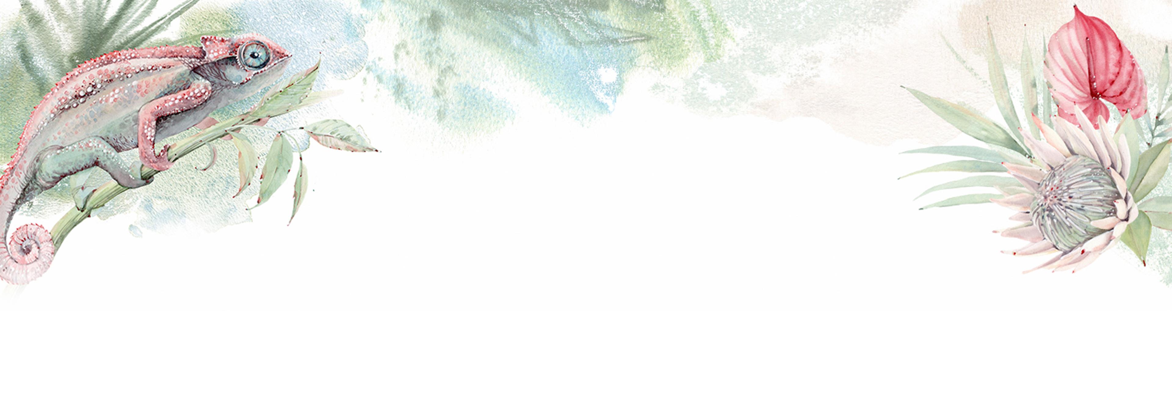 Shop cover image