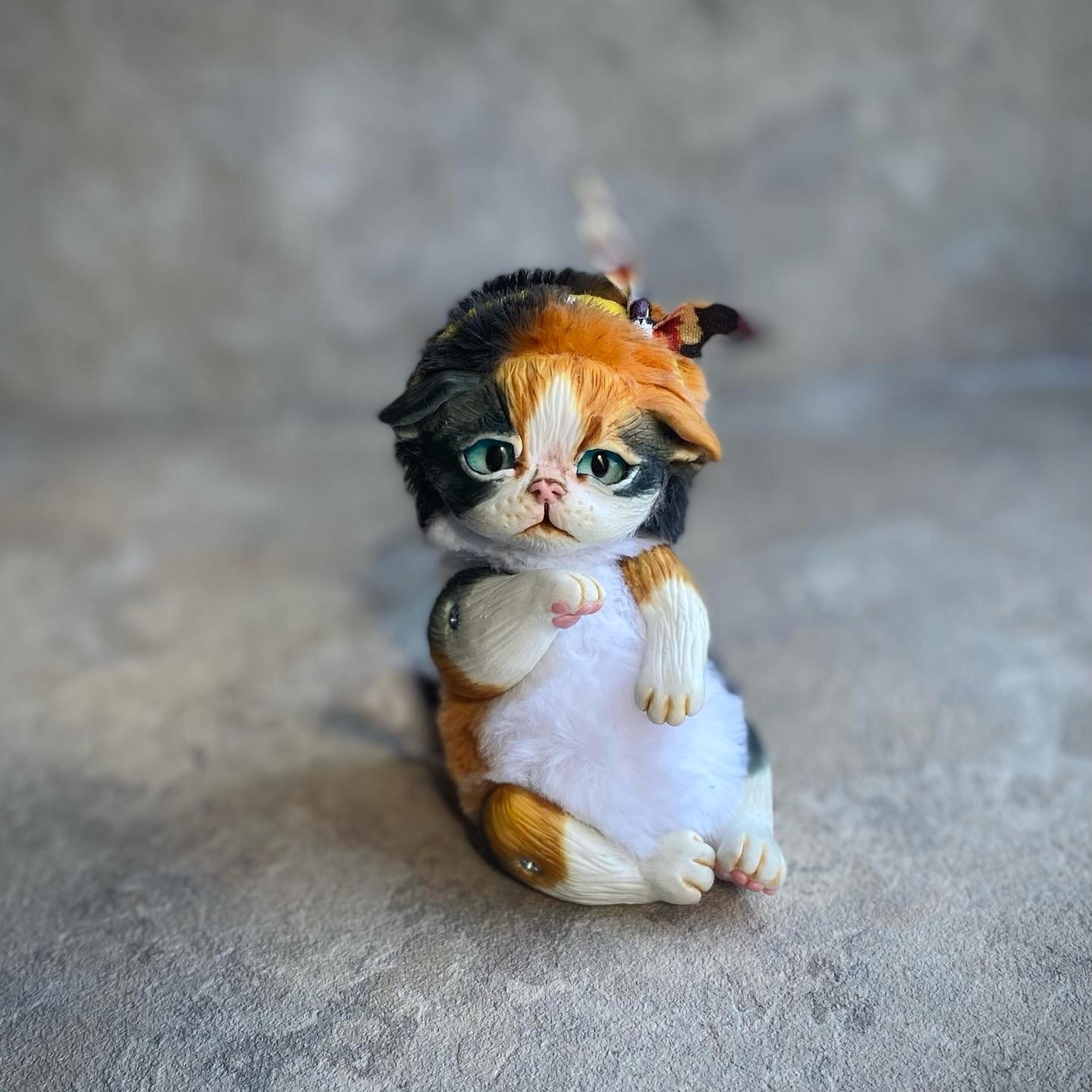 Shop cover image
