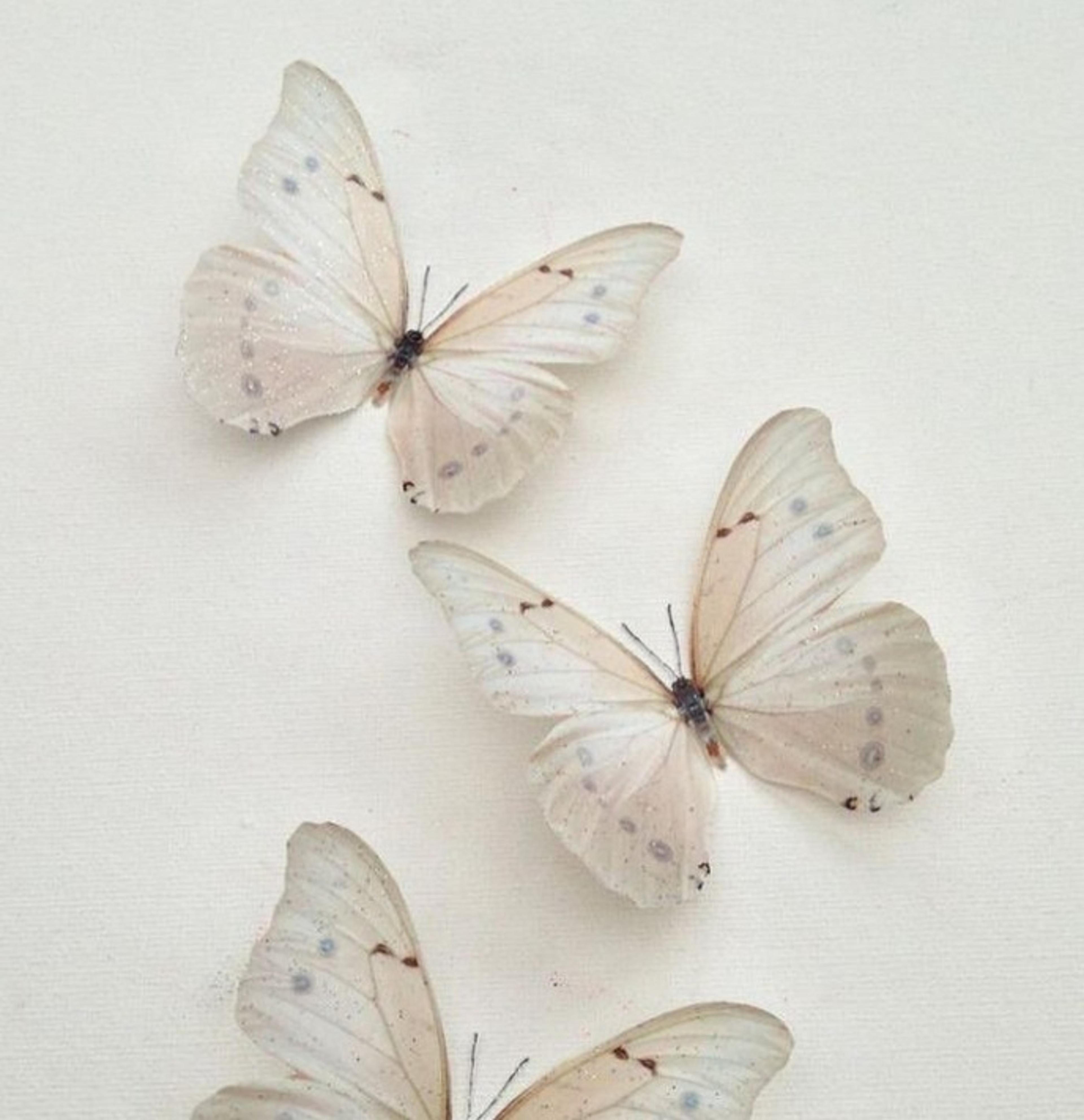 Shop cover image