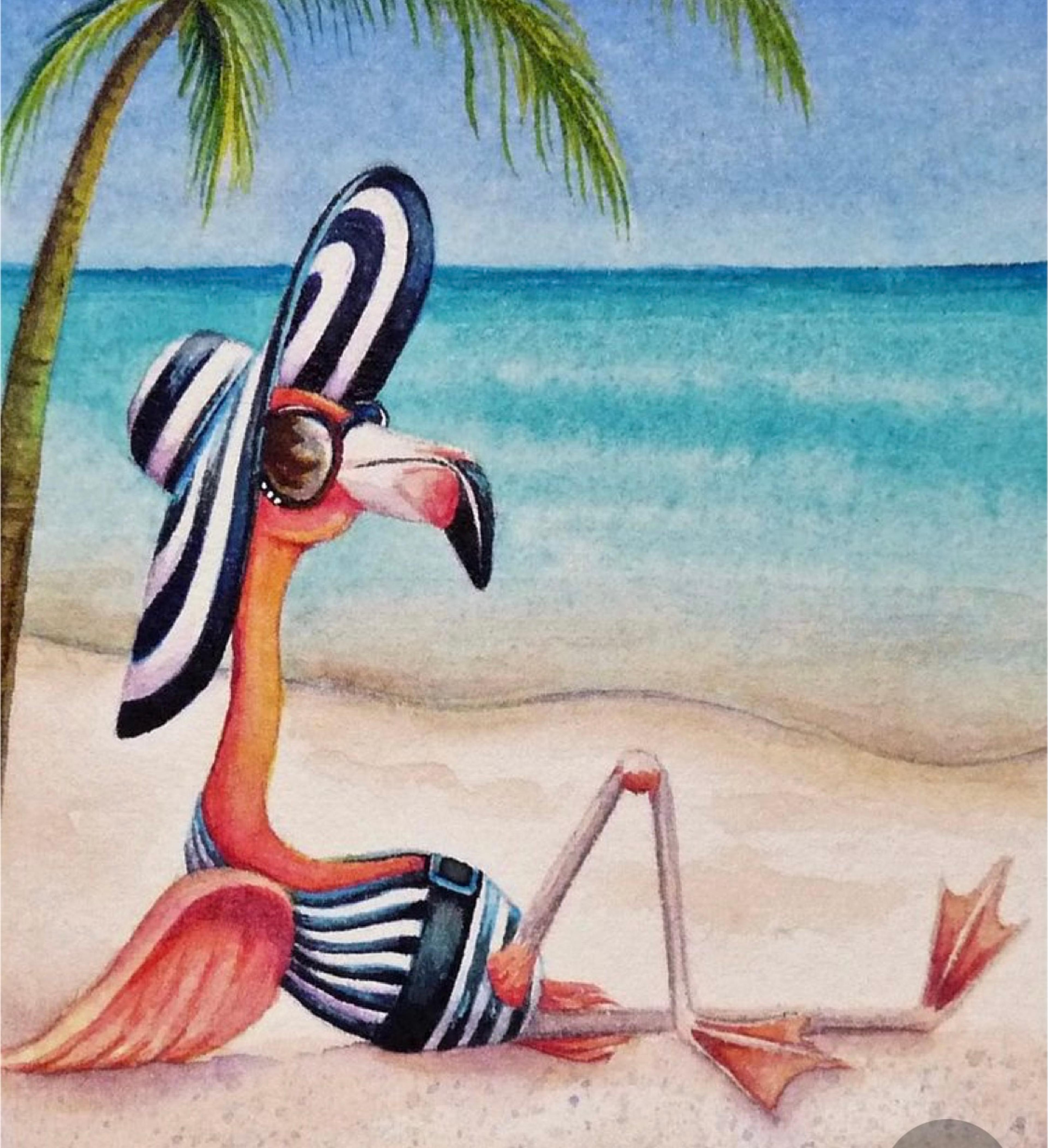 Shop cover image
