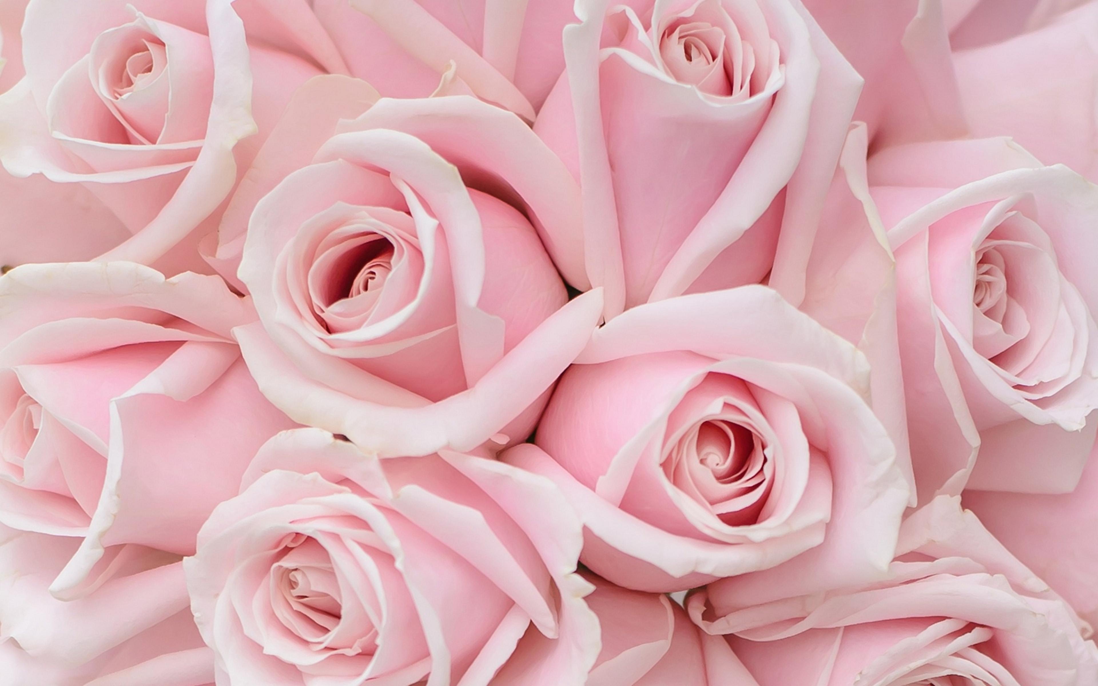 Shop cover image