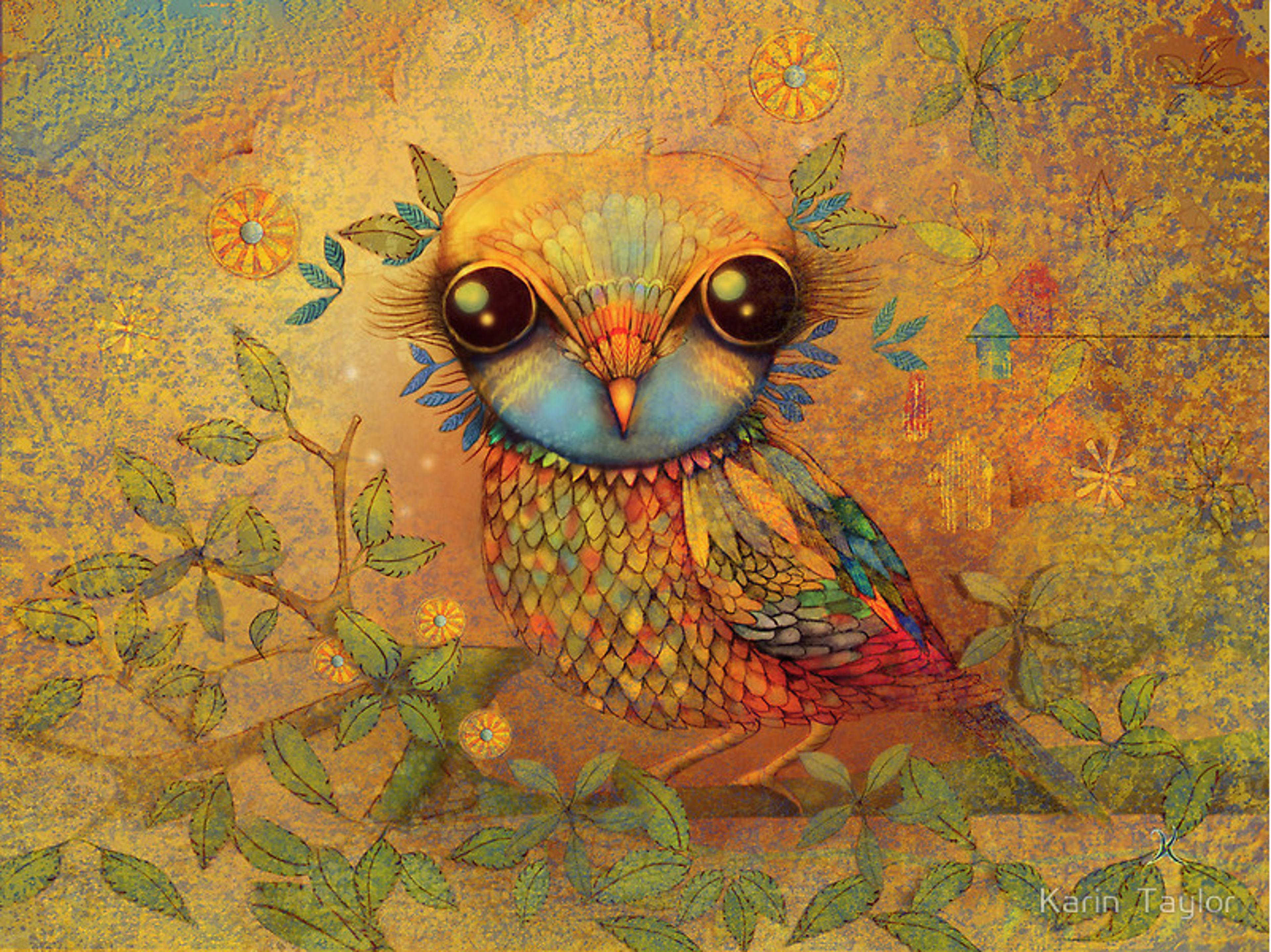 Shop cover image