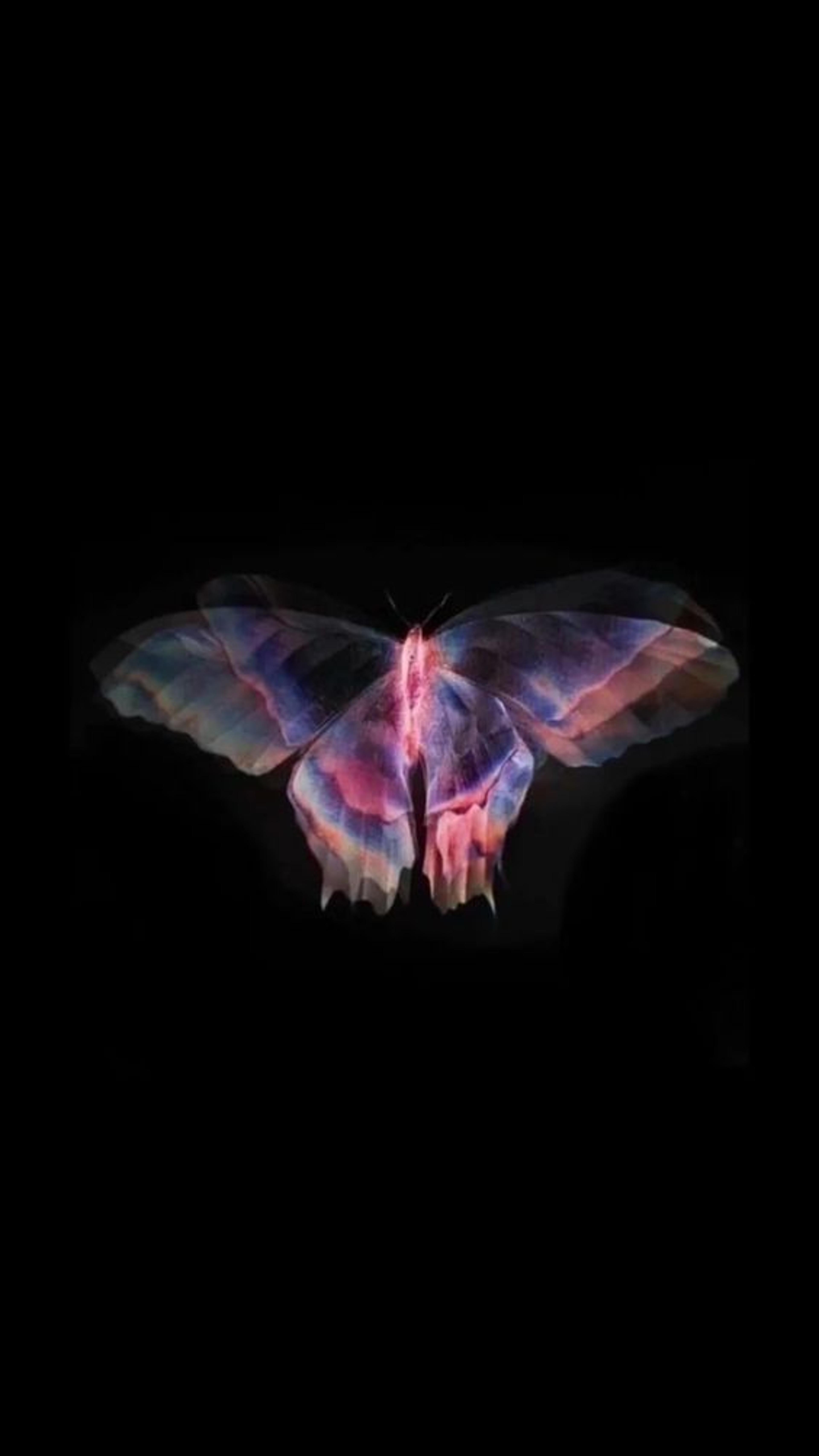 Shop cover image