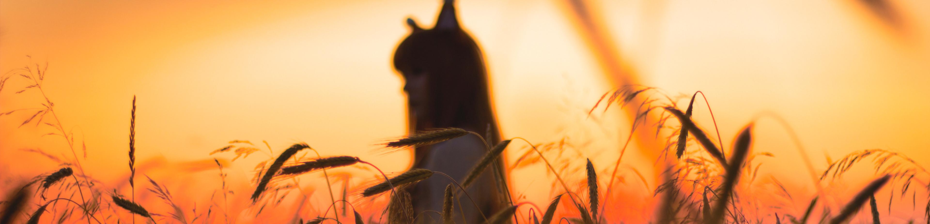 Shop cover image