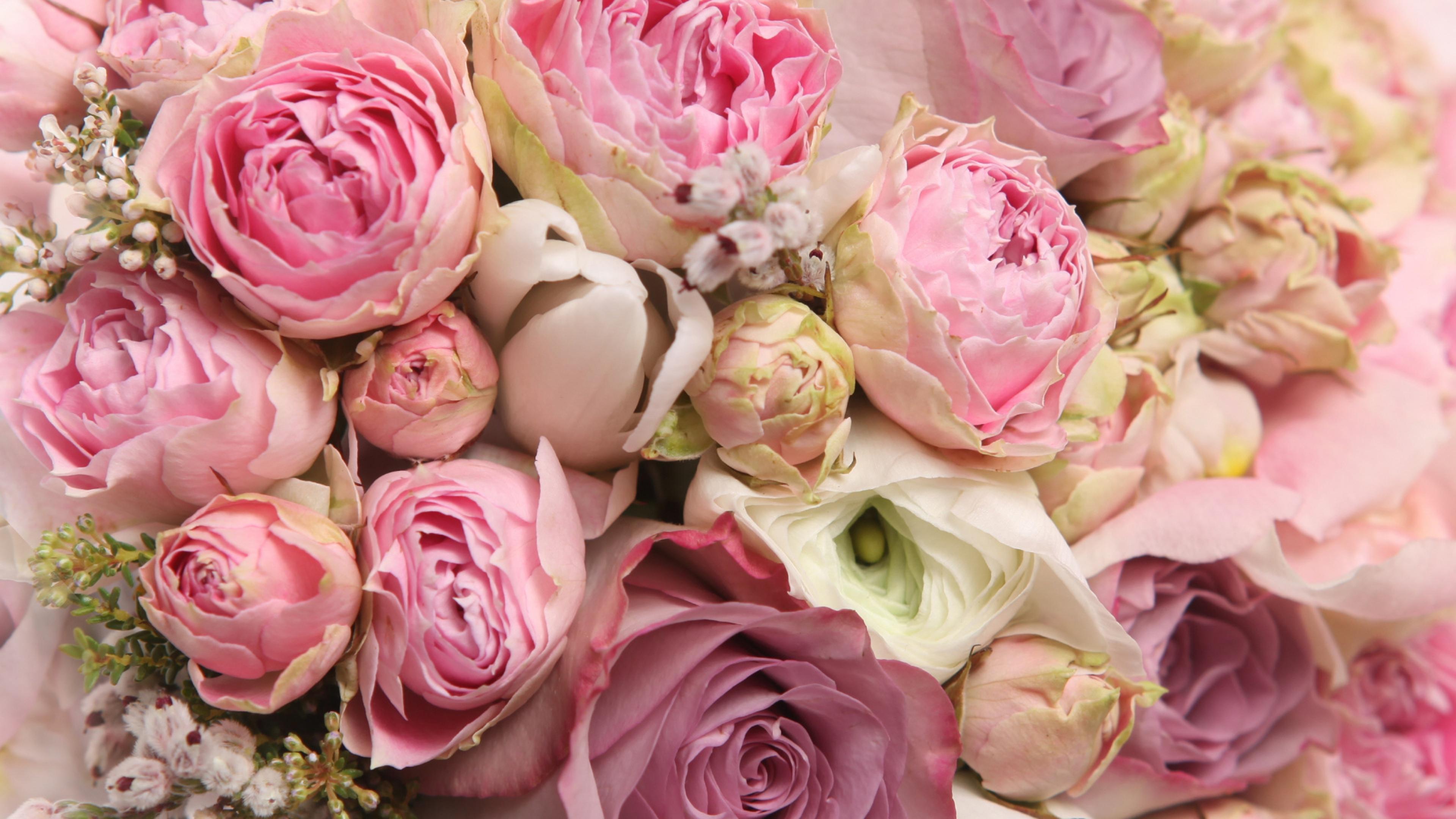Shop cover image
