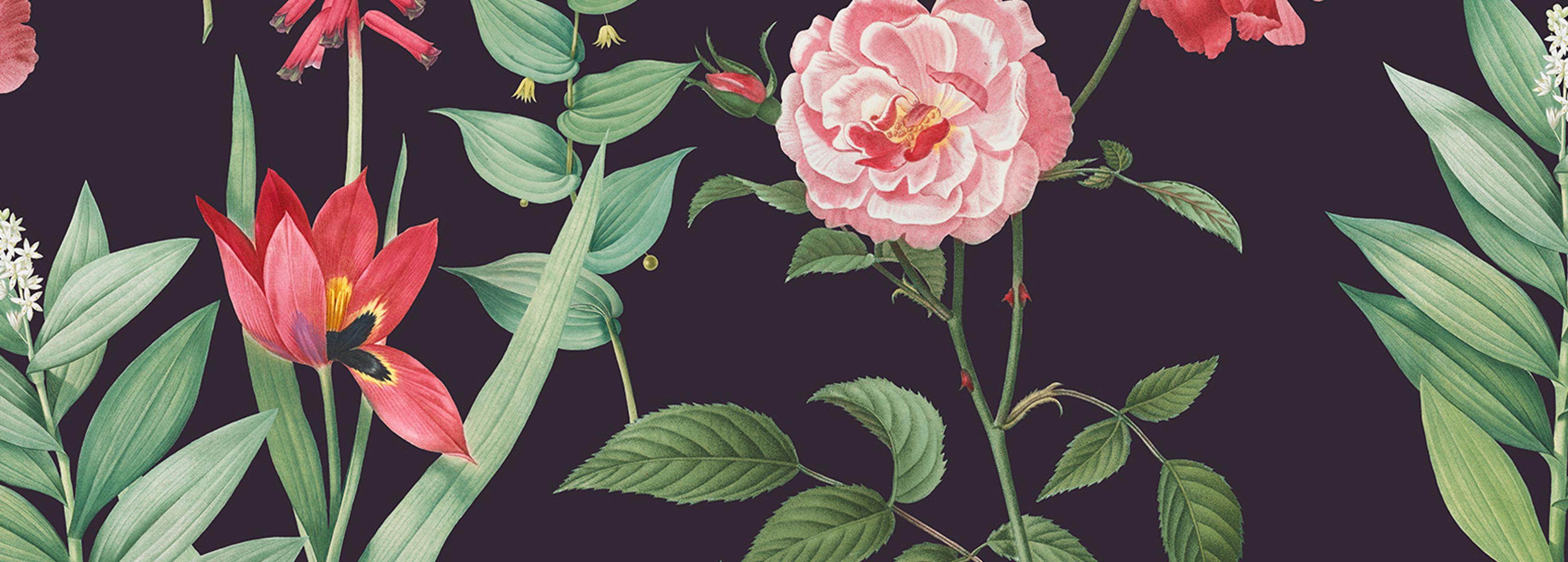Shop cover image
