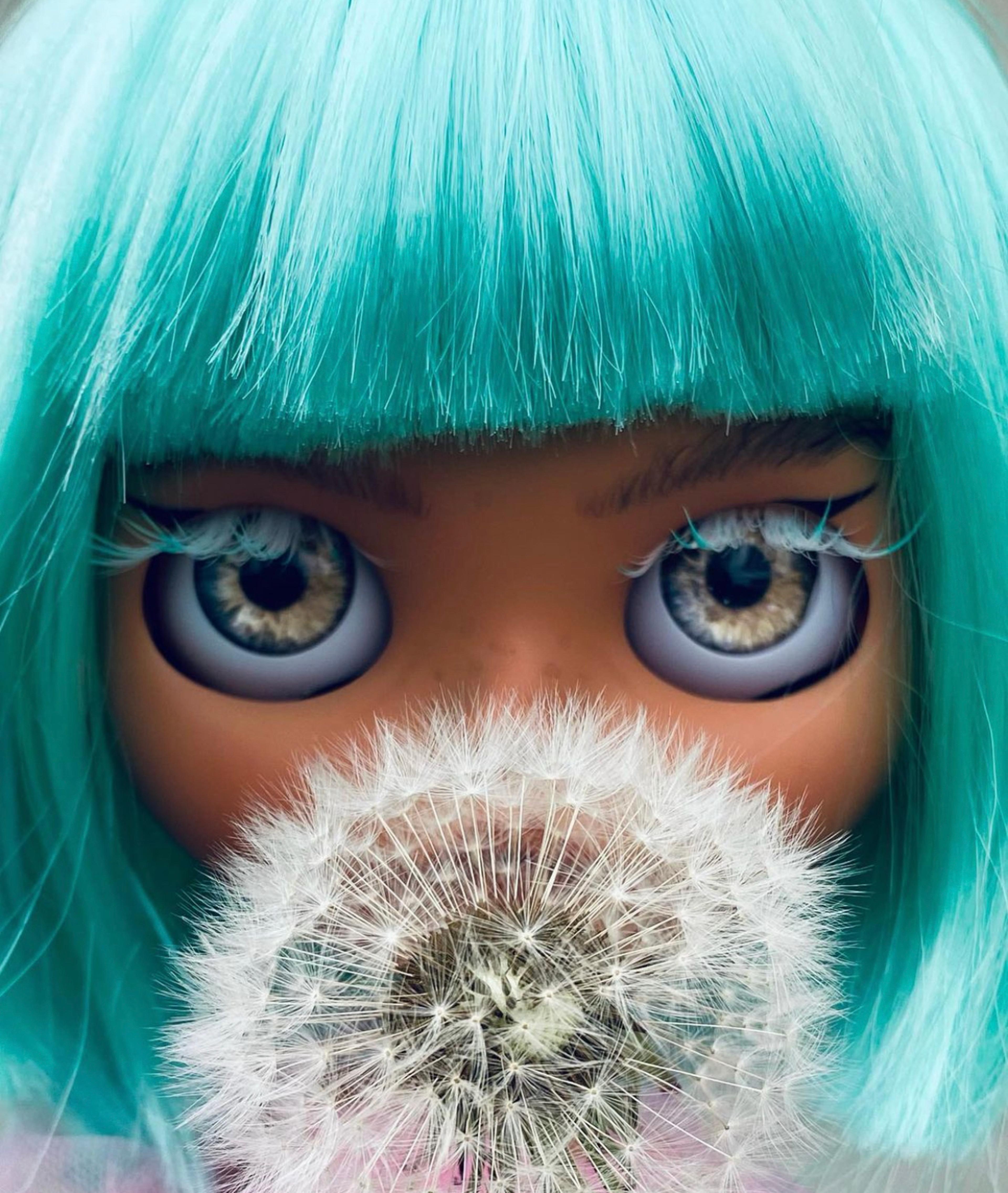 Shop cover image