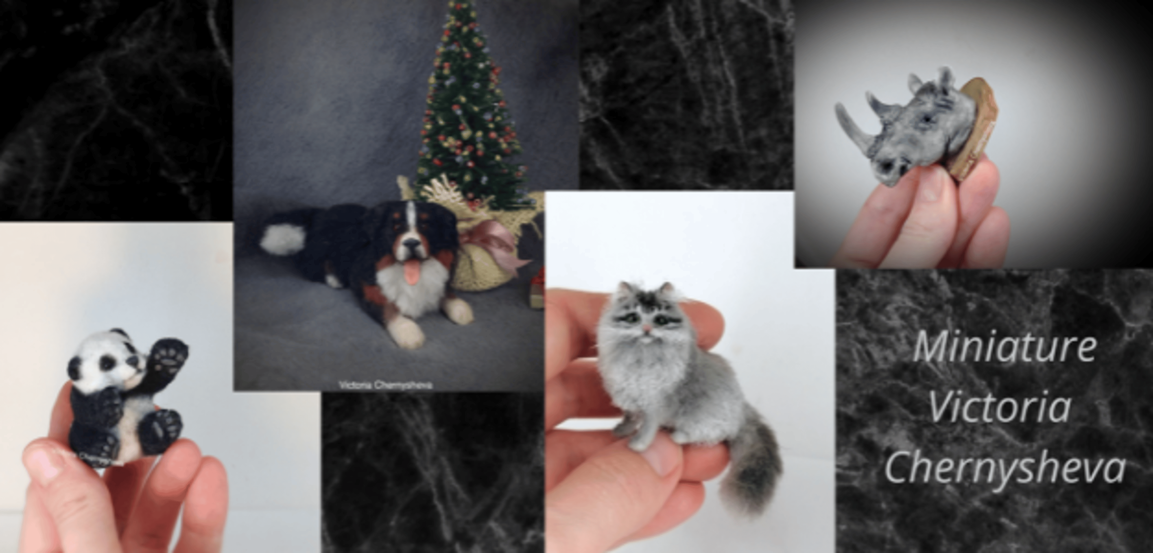 Shop cover image