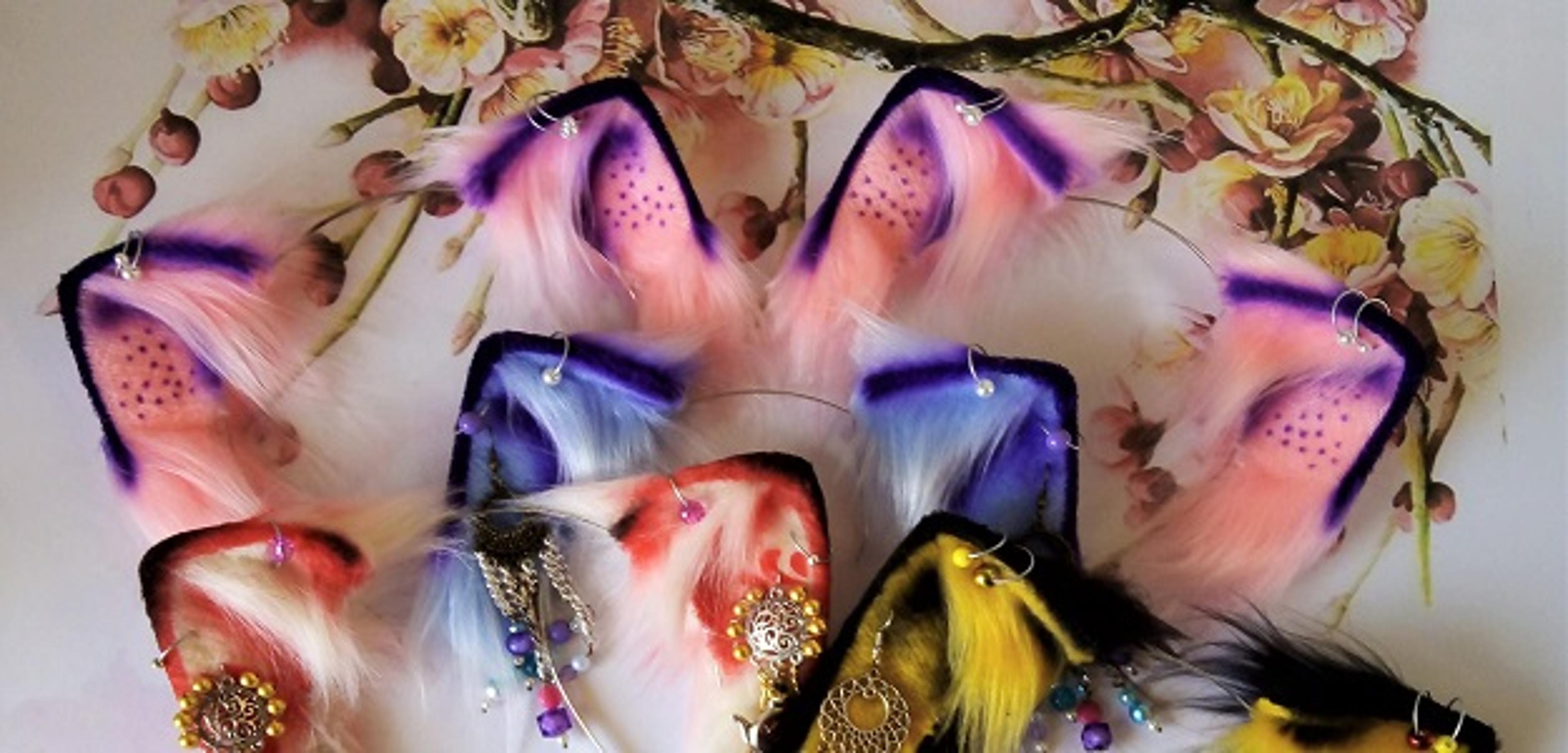 Shop cover image