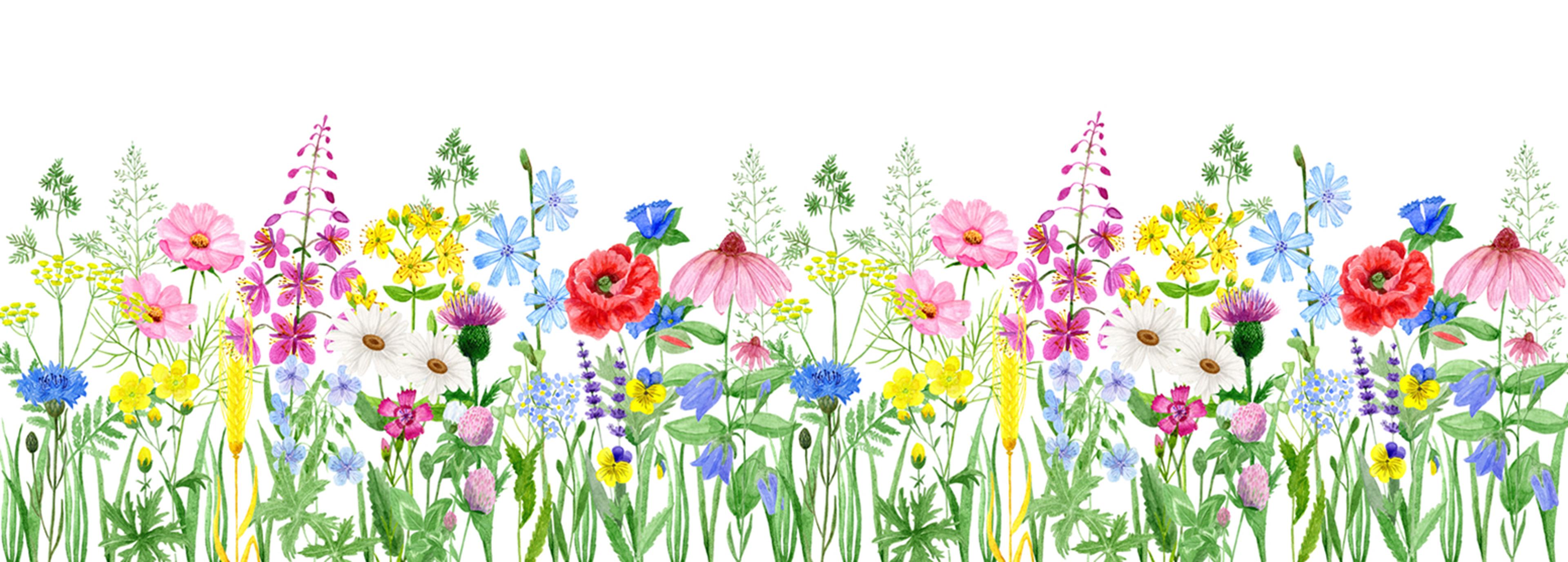 Shop cover image
