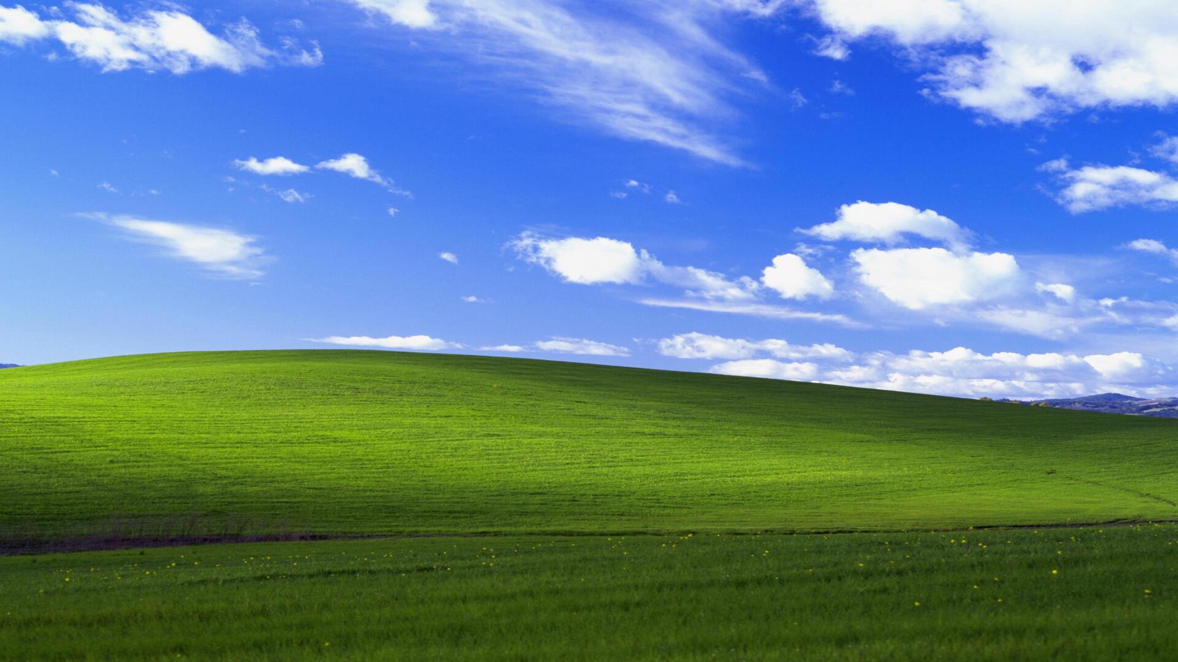 Shop cover image