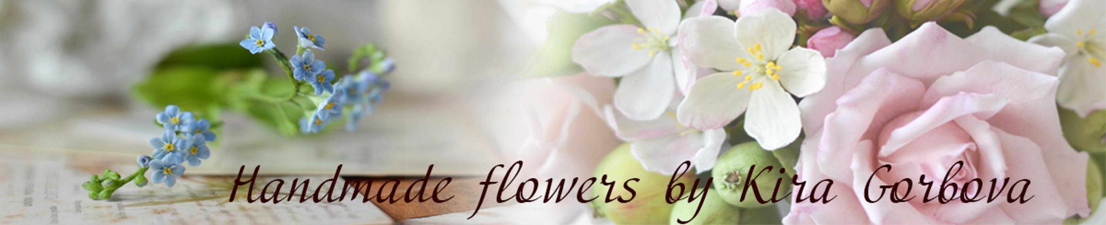Shop cover image