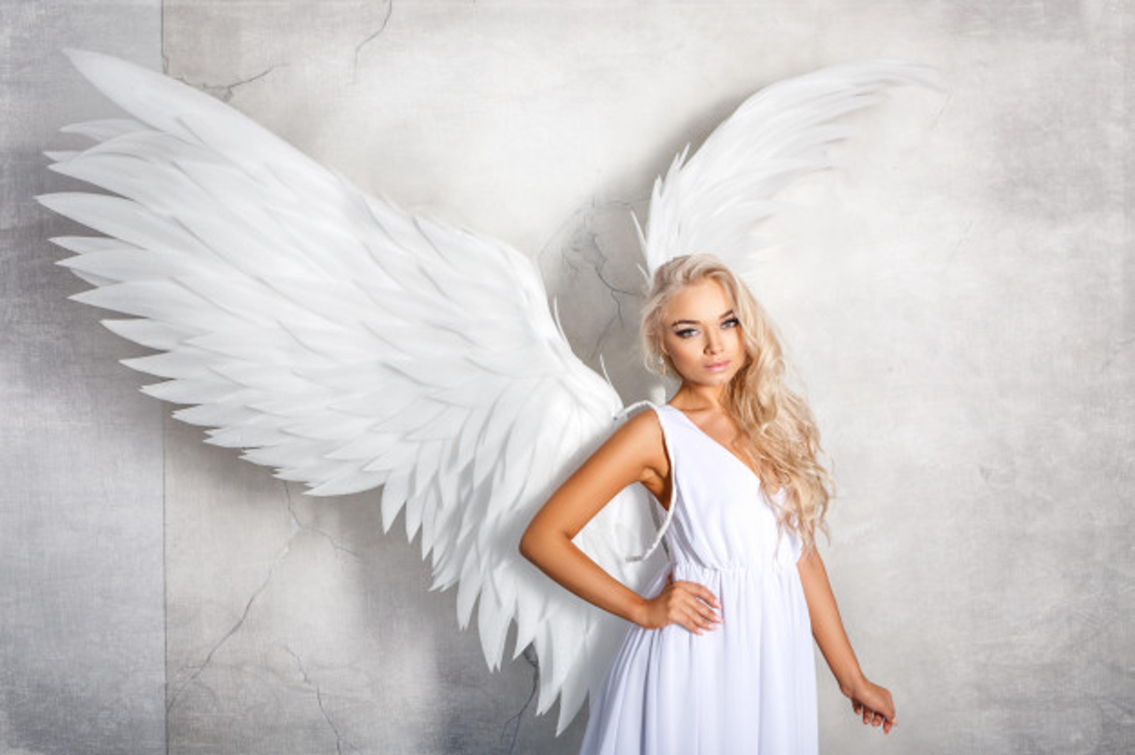 Shop cover image