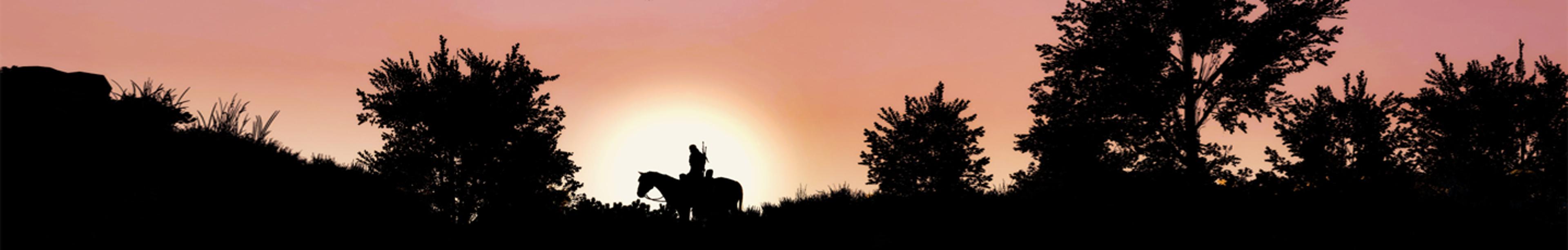 Shop cover image