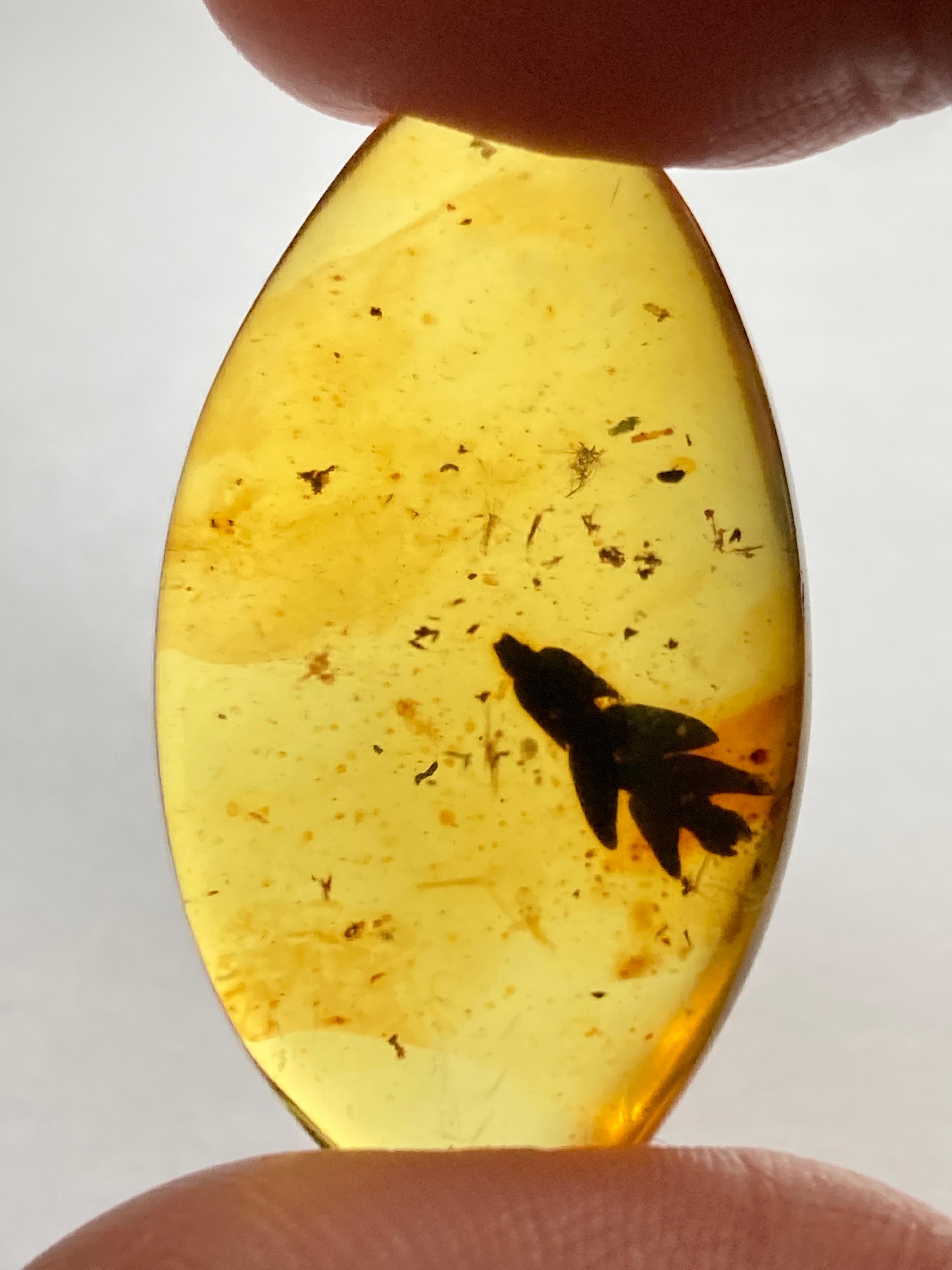 Shop cover image