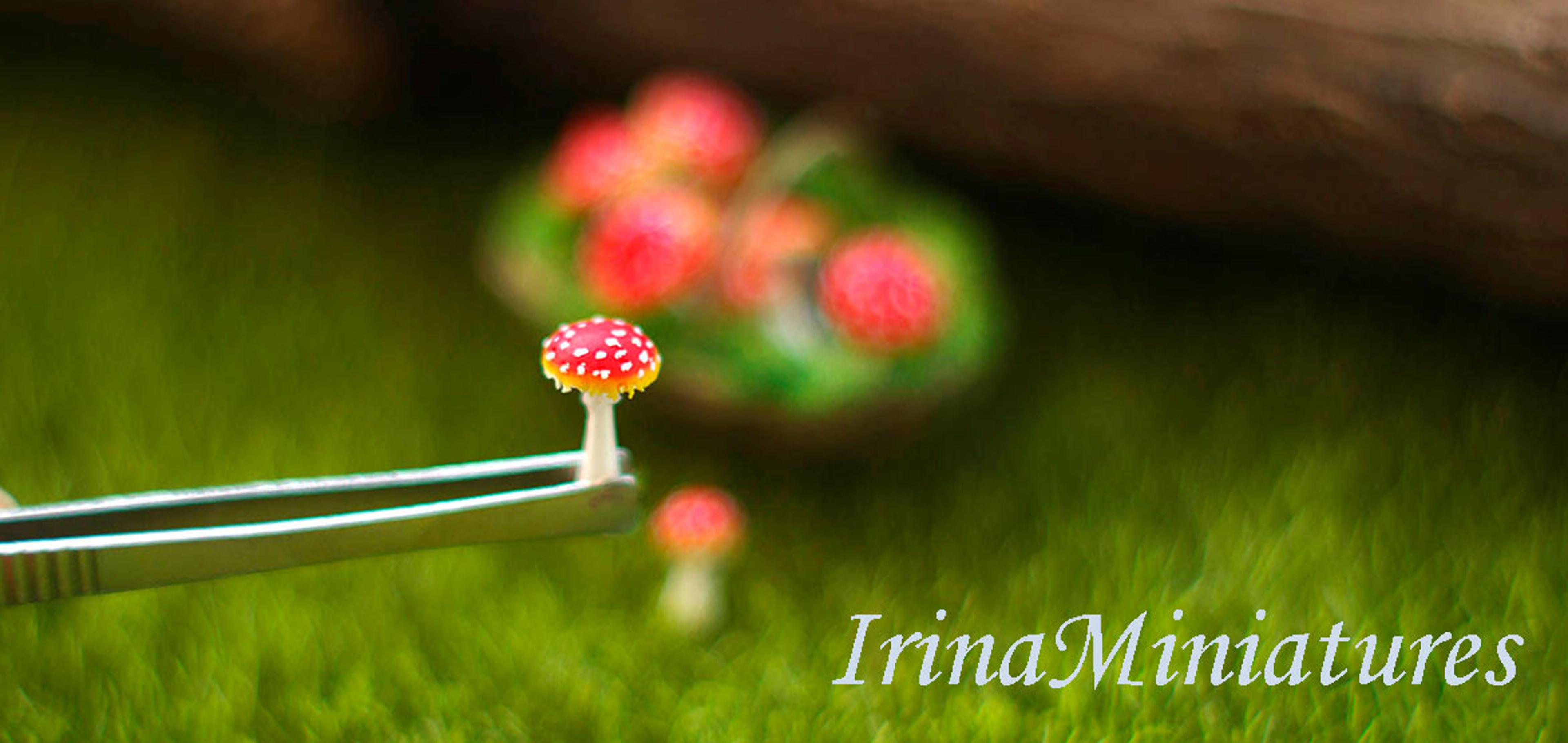 Shop cover image