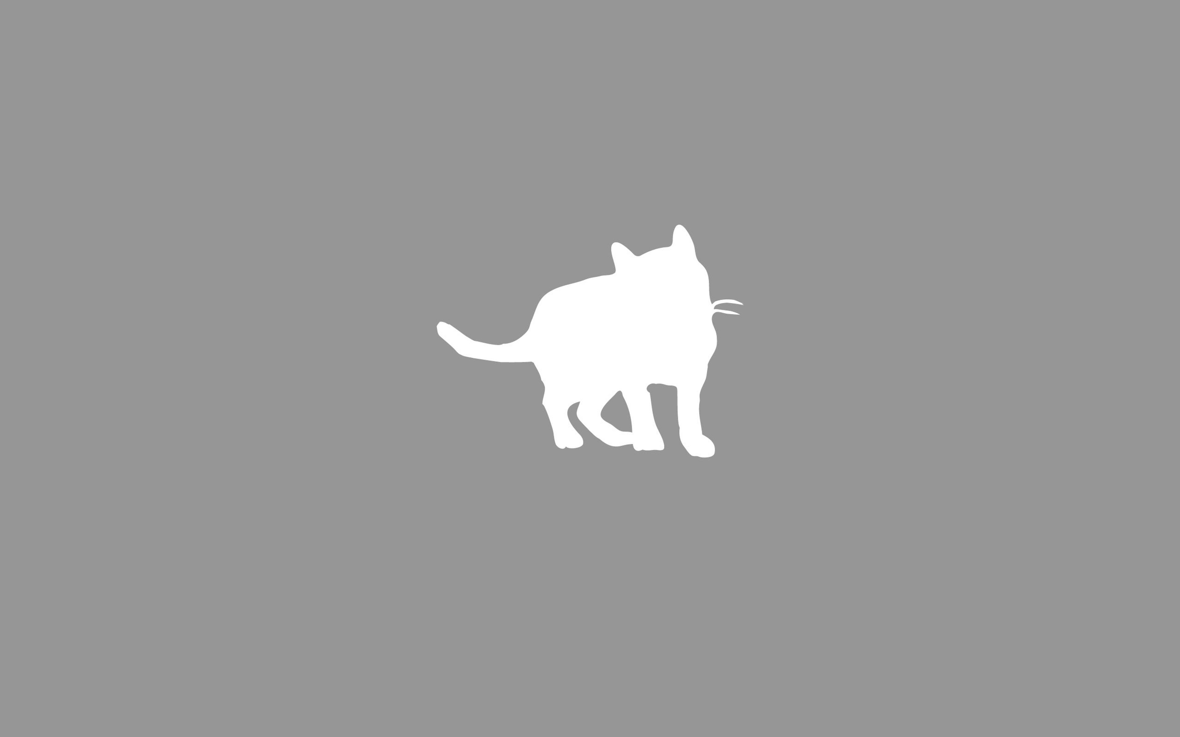 Shop cover image