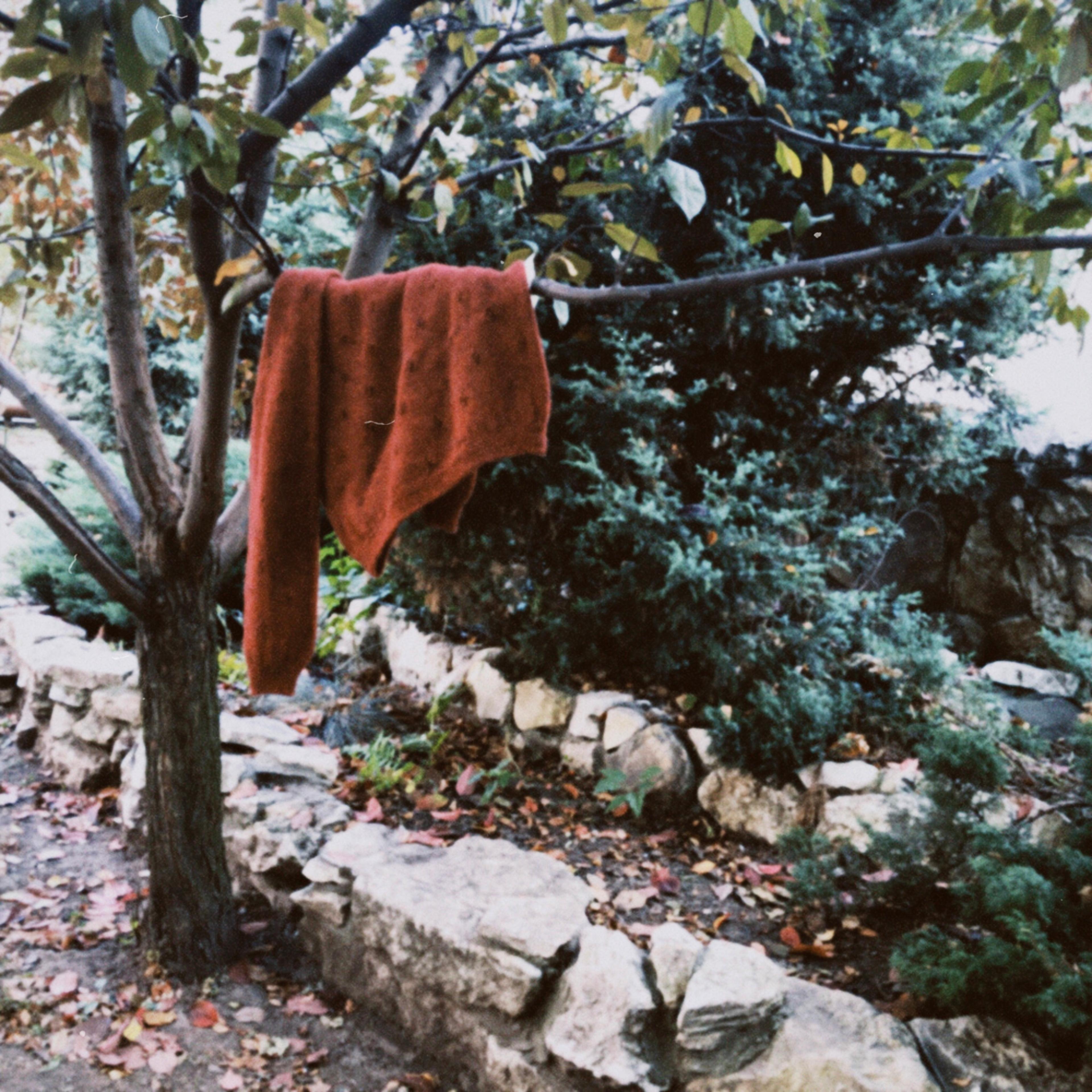 Shop cover image