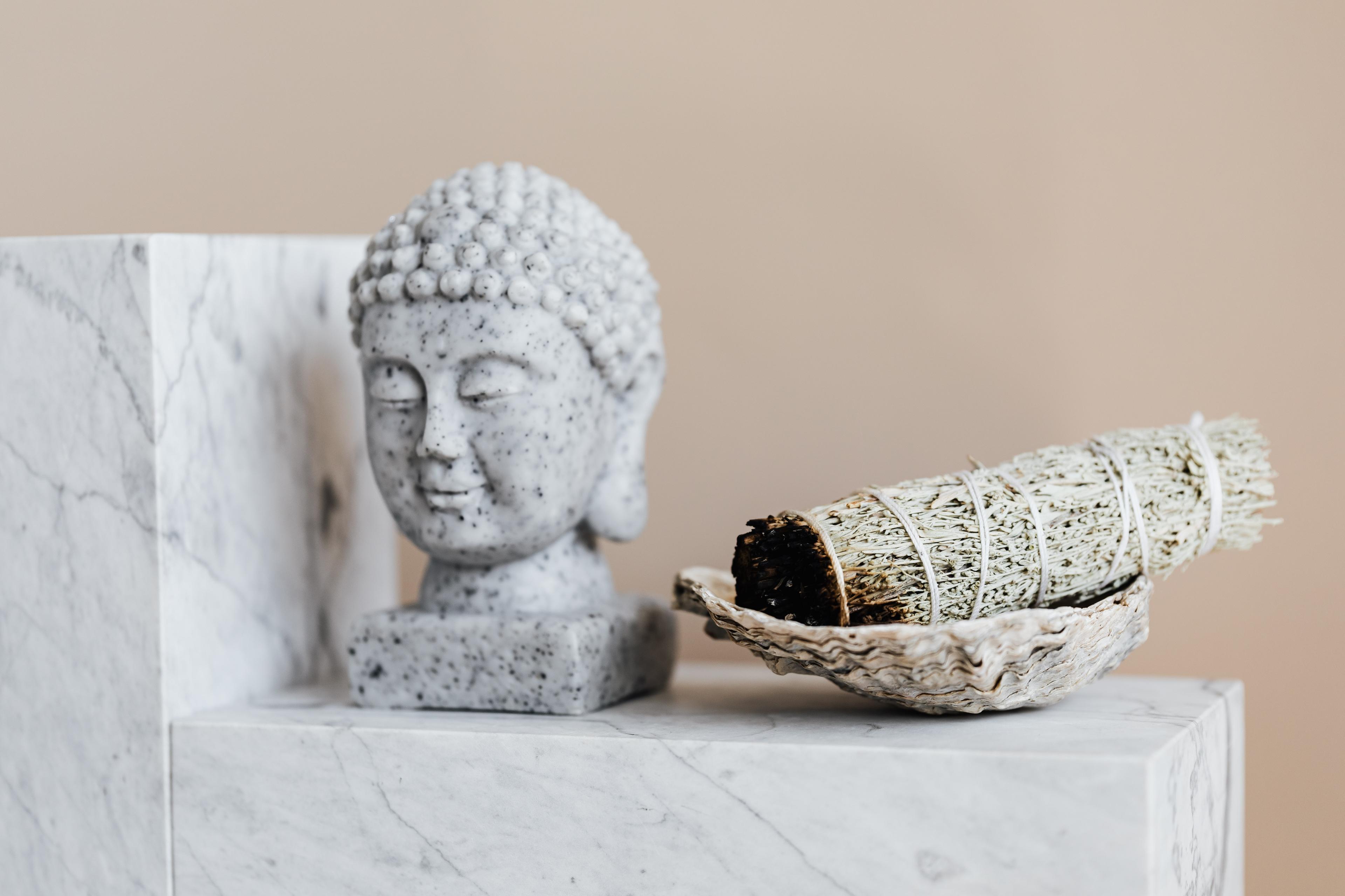 Shop cover image