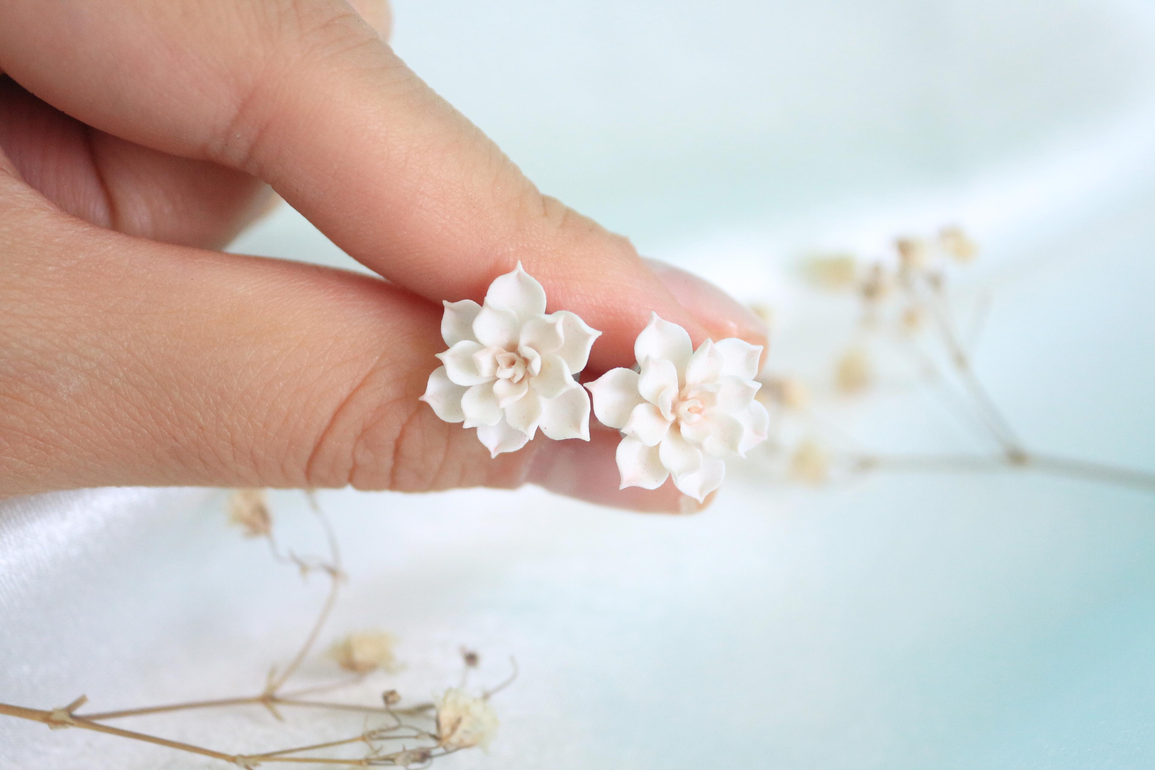 Shop cover image