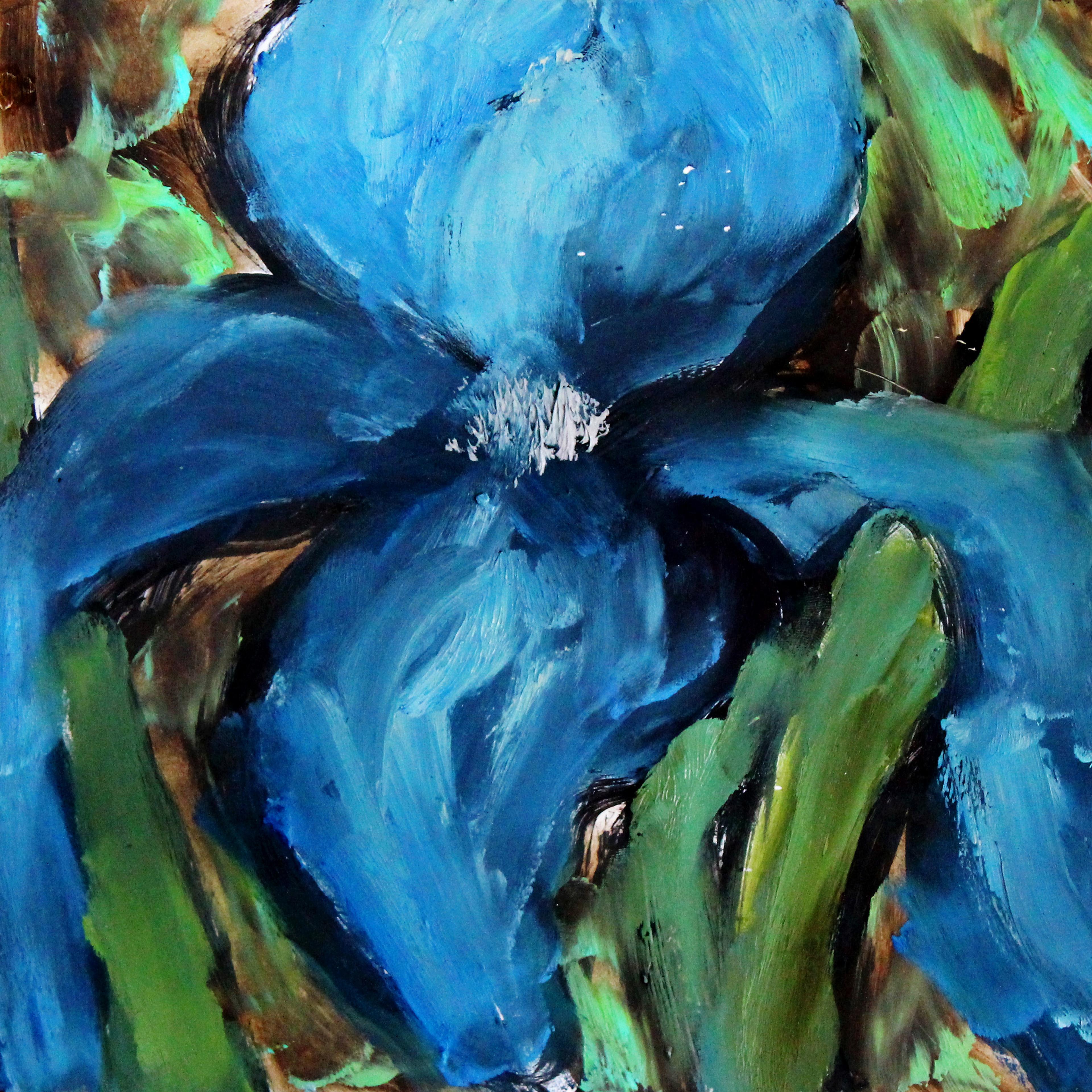Shop cover image