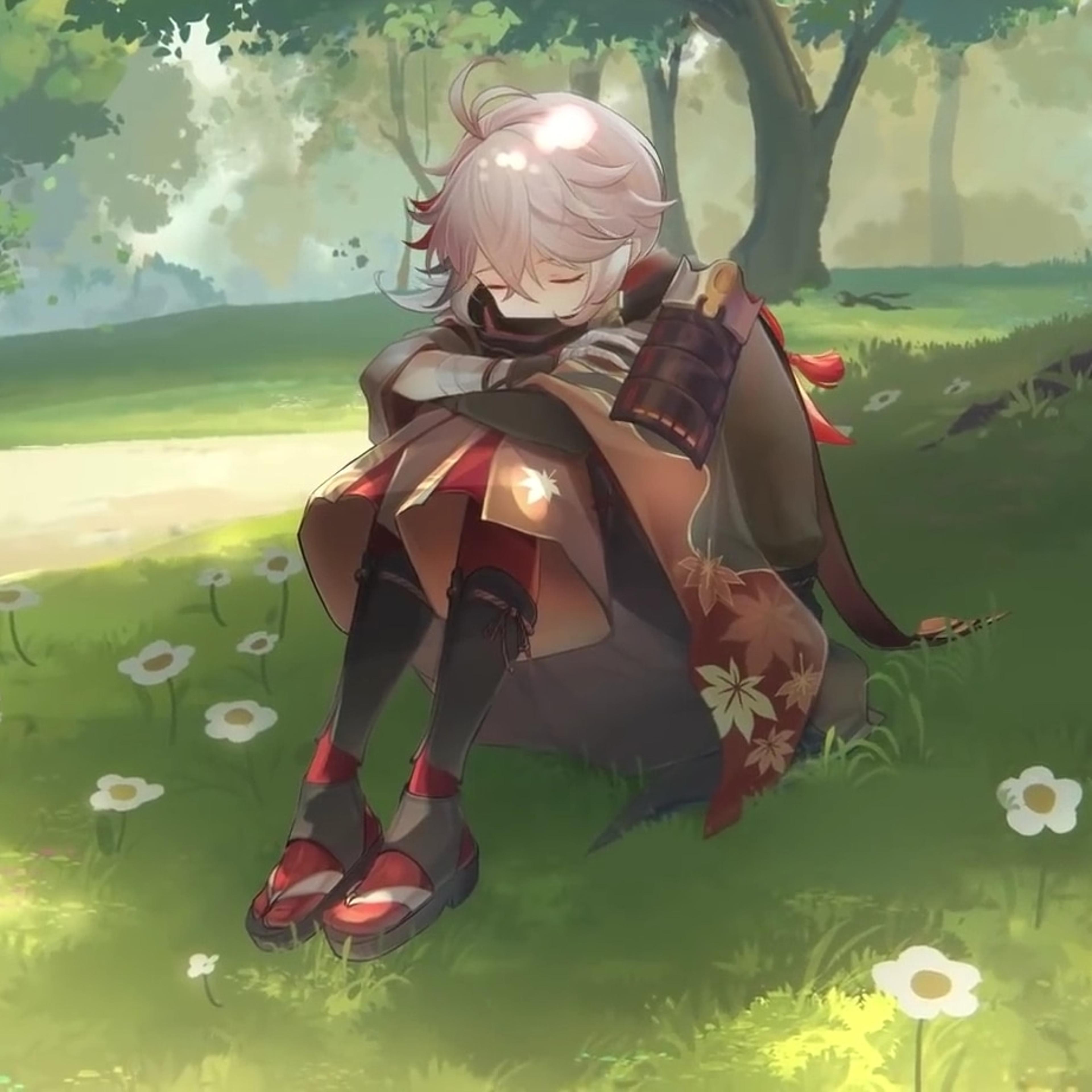 Shop cover image