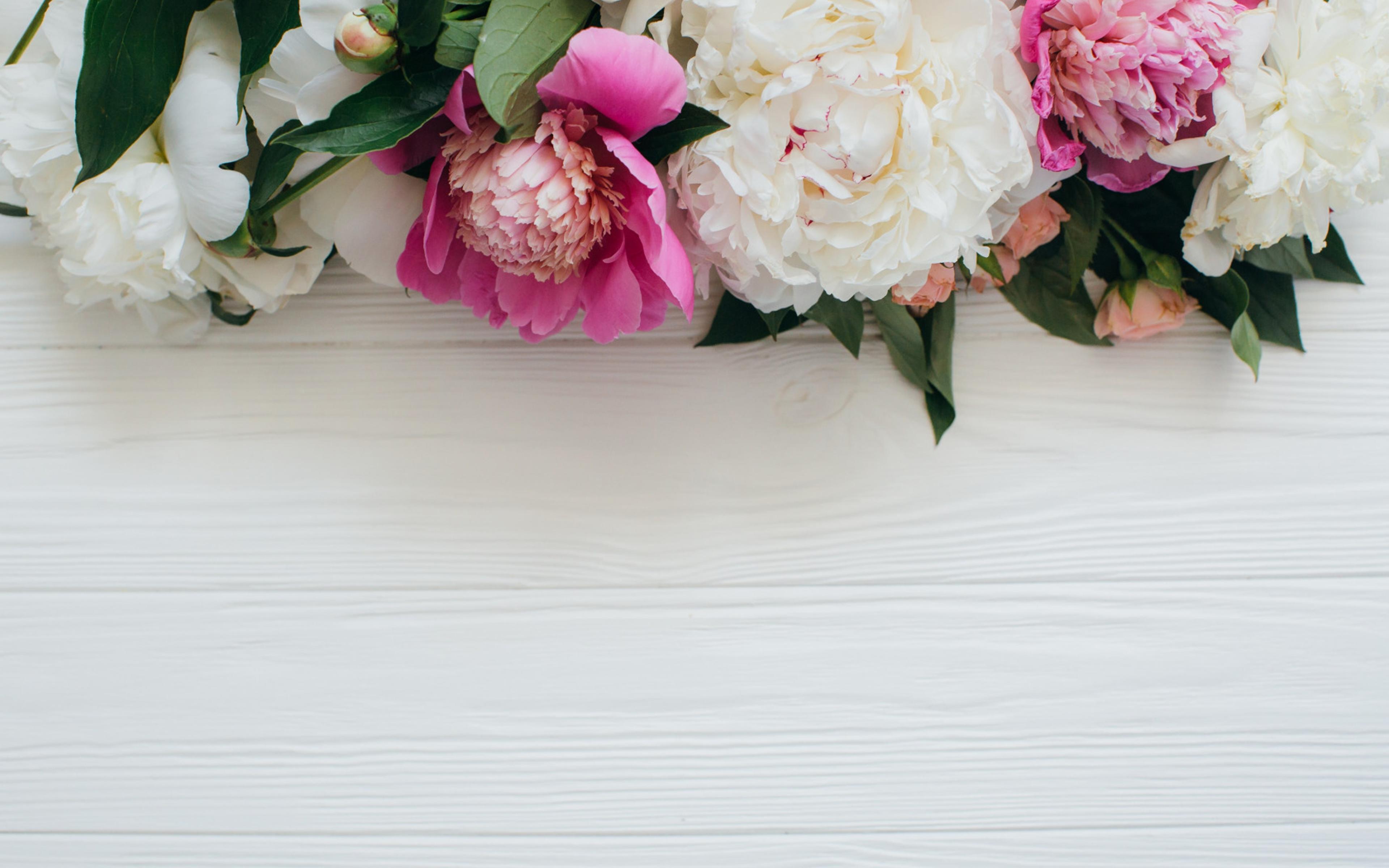 Shop cover image