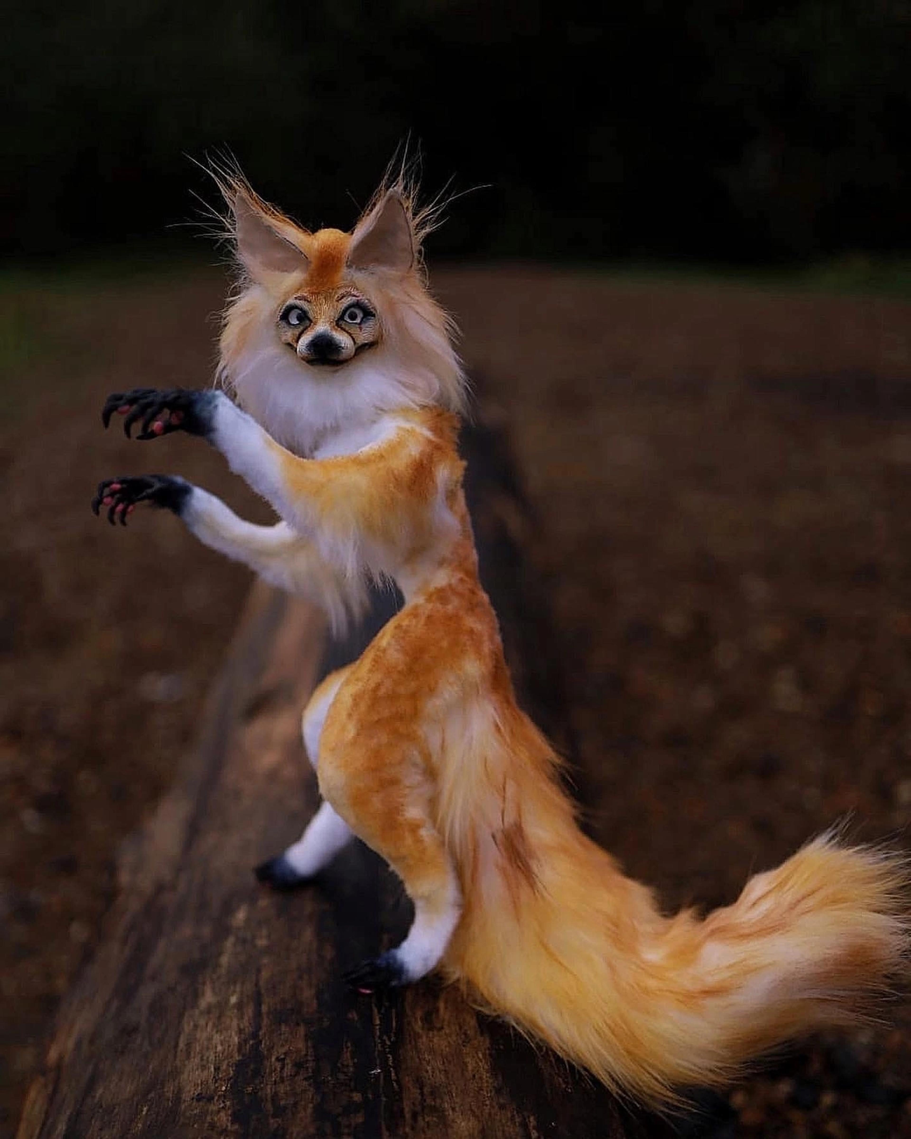 Shop cover image