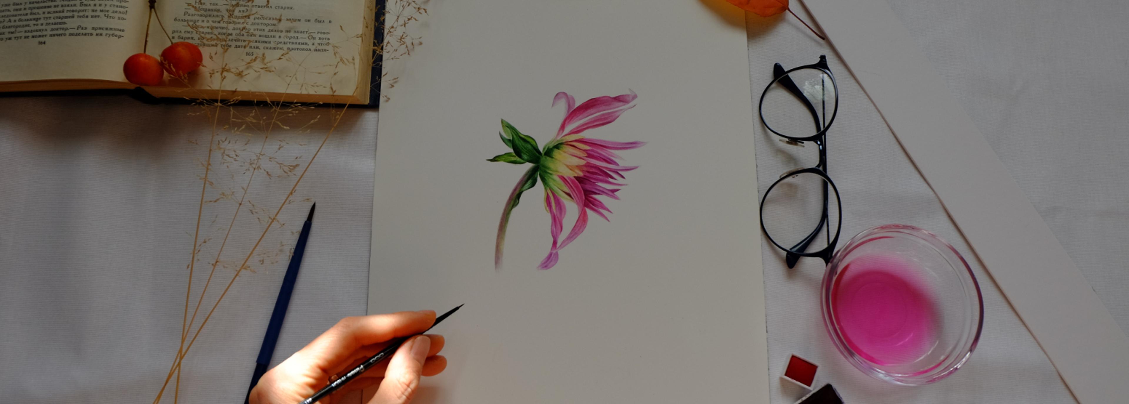 Shop cover image
