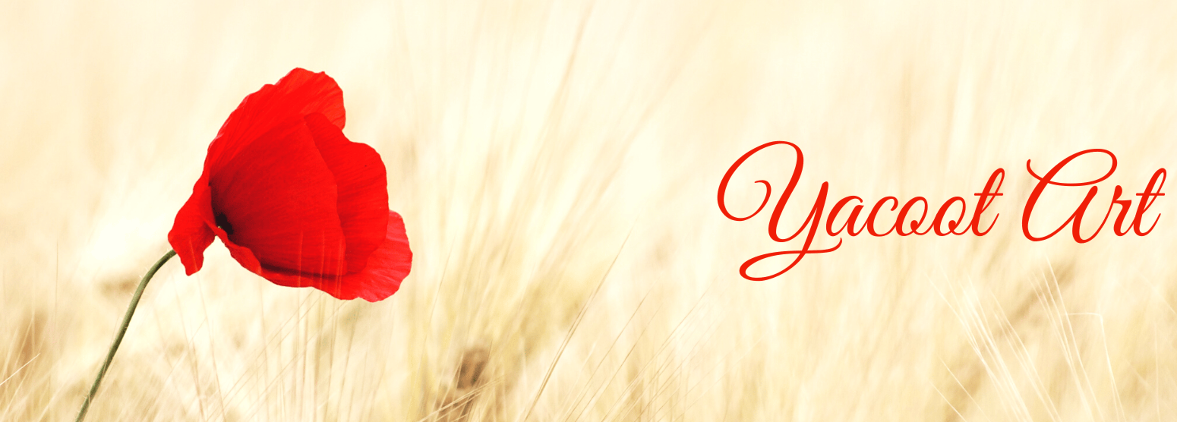 Shop cover image