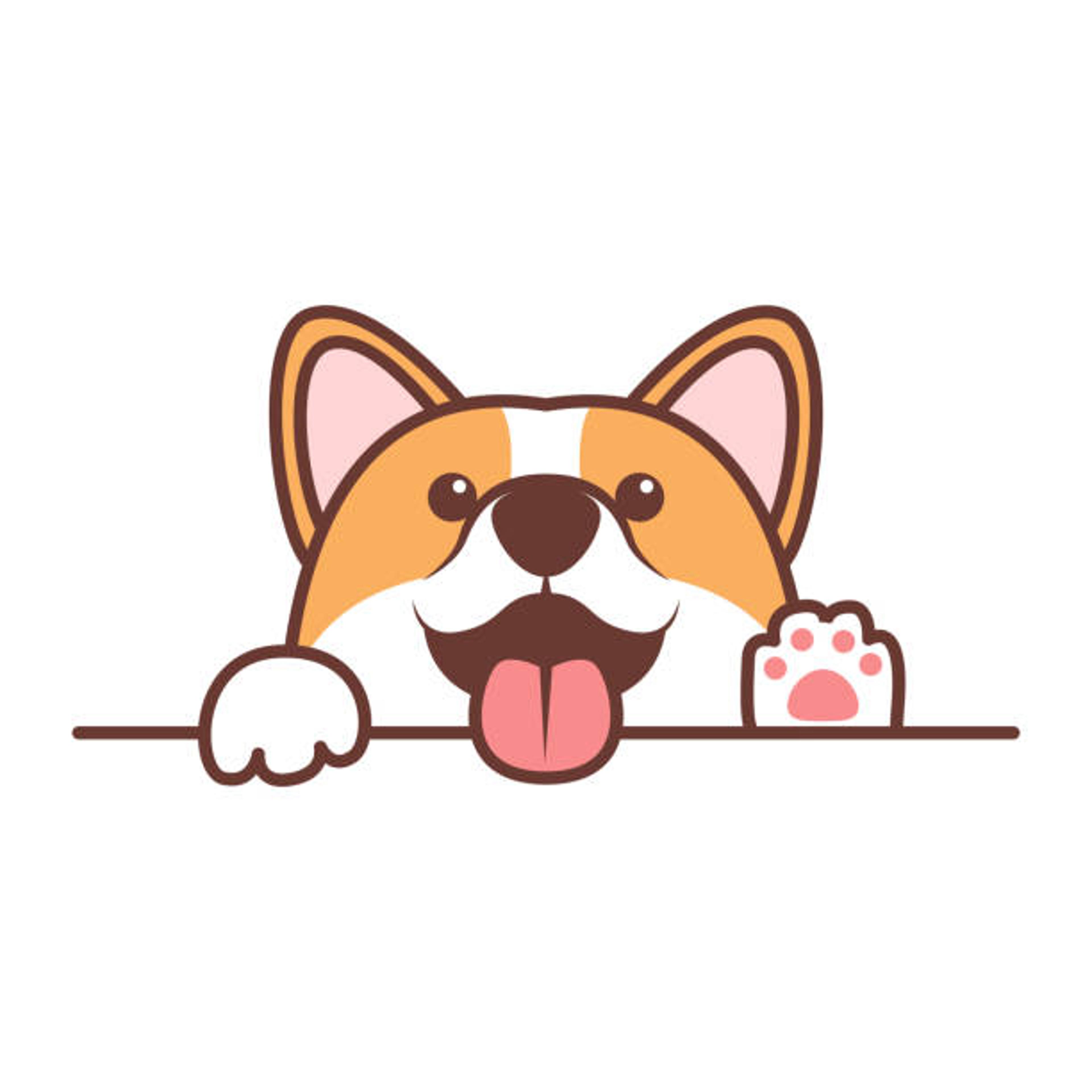 Shop cover image