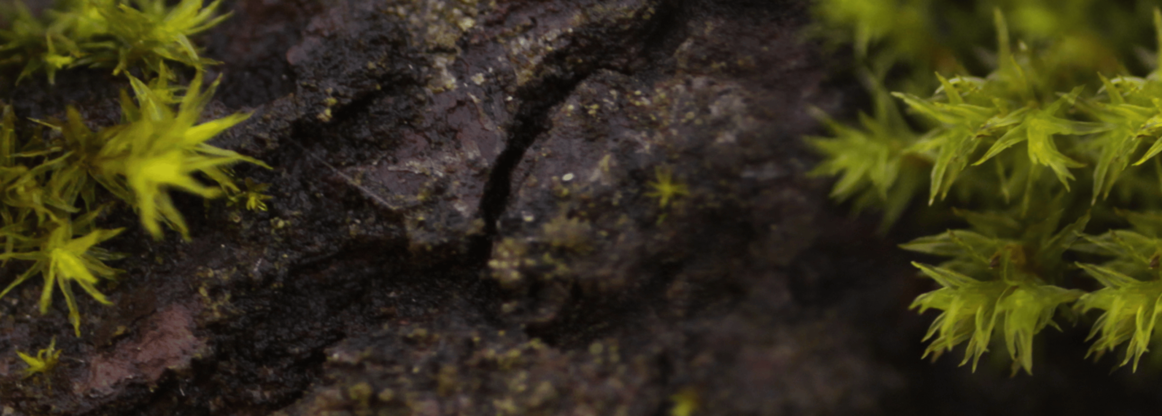Shop cover image