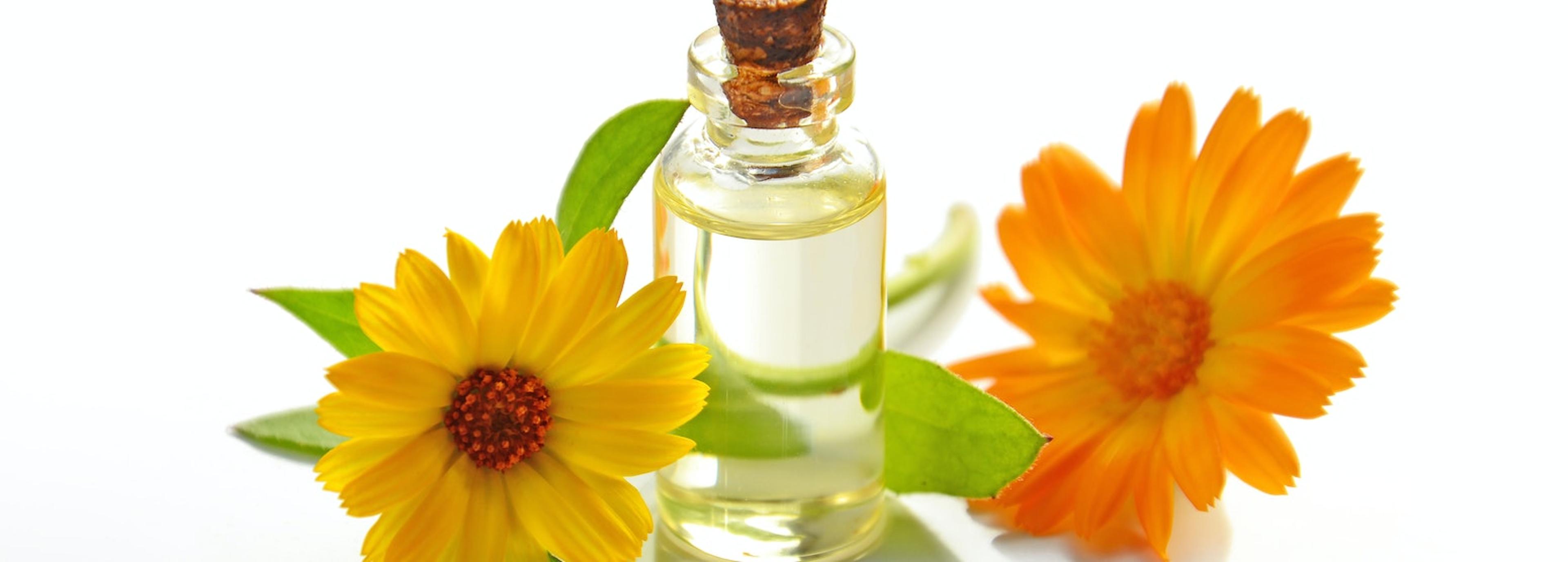 Shop cover image